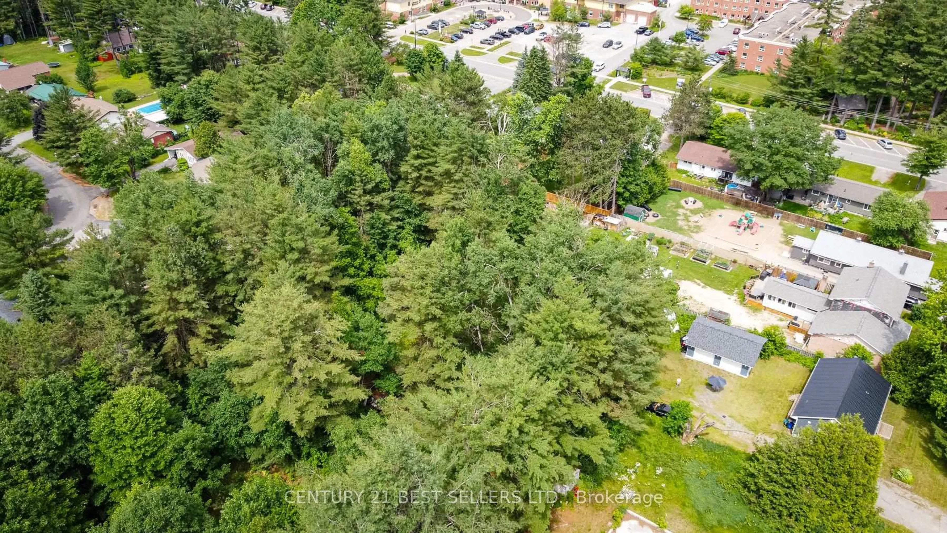A pic from outside/outdoor area/front of a property/back of a property/a pic from drone, forest/trees view for 253 Maple St, Bracebridge Ontario P1L 1K3