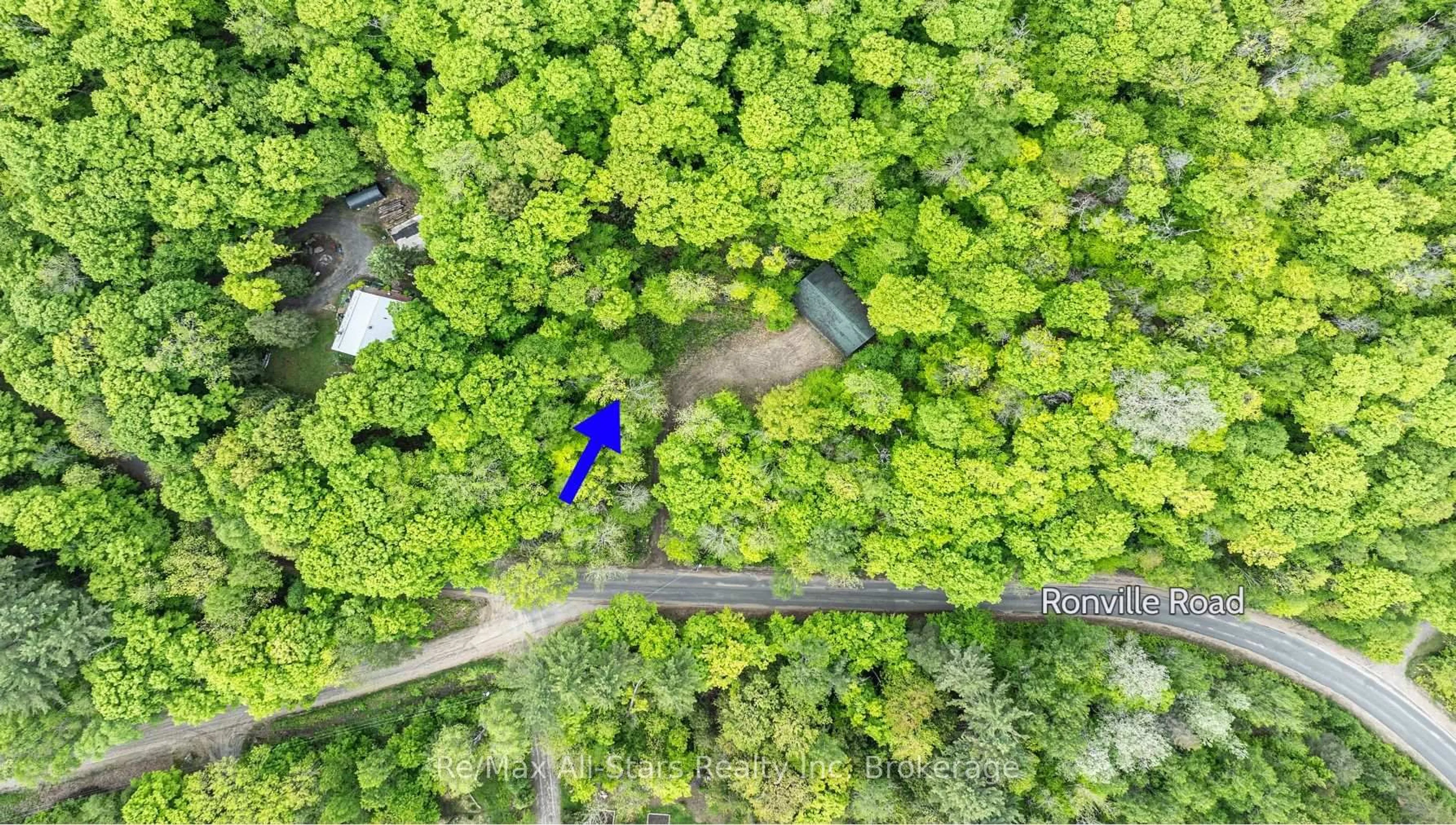 A pic from outside/outdoor area/front of a property/back of a property/a pic from drone, forest/trees view for 1028 Ronville Rd, Lake of Bays Ontario P0A 1H0