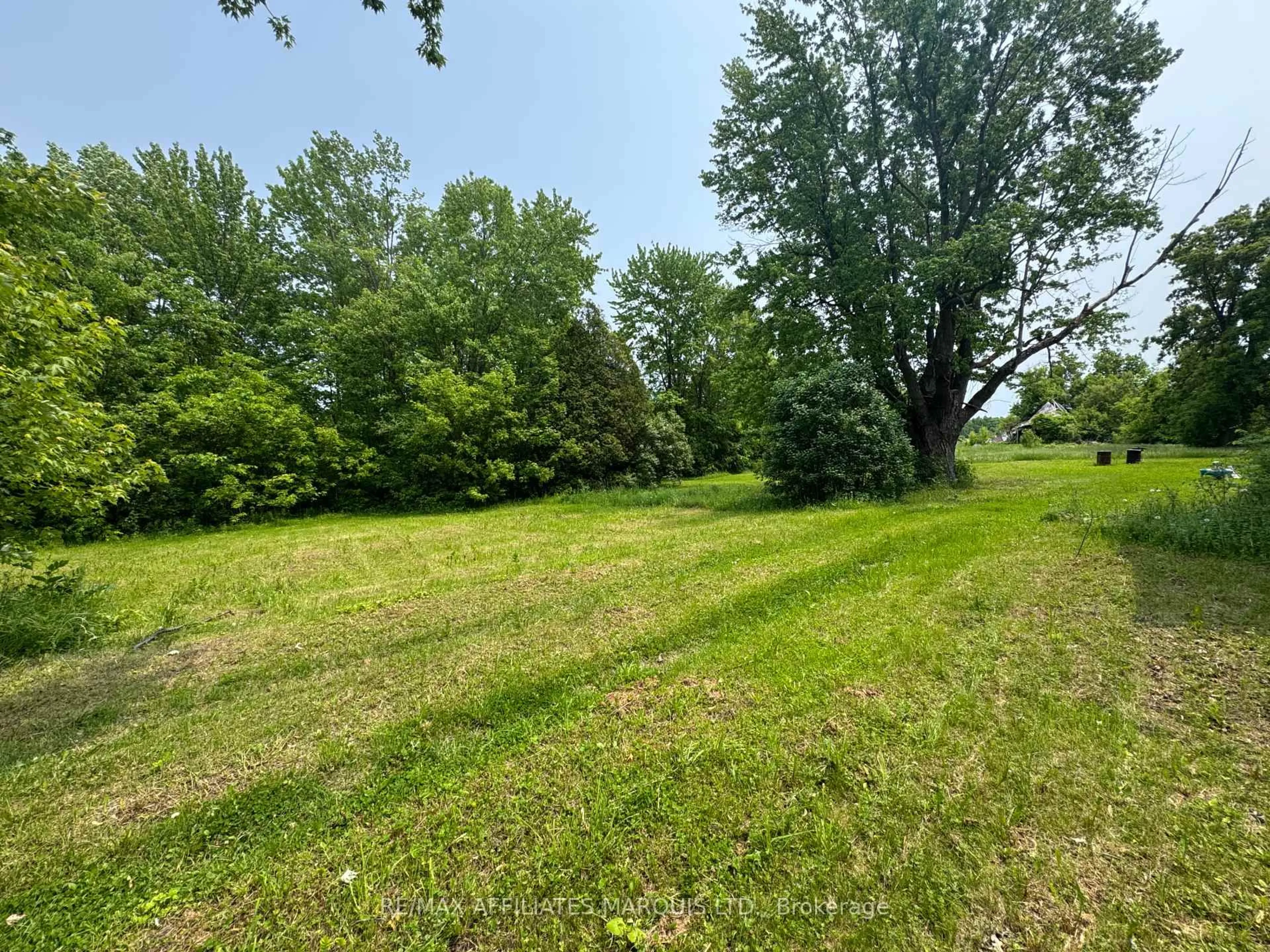 A pic from outside/outdoor area/front of a property/back of a property/a pic from drone, forest/trees view for 19446 Gore Rd, South Glengarry Ontario K0C 2E0