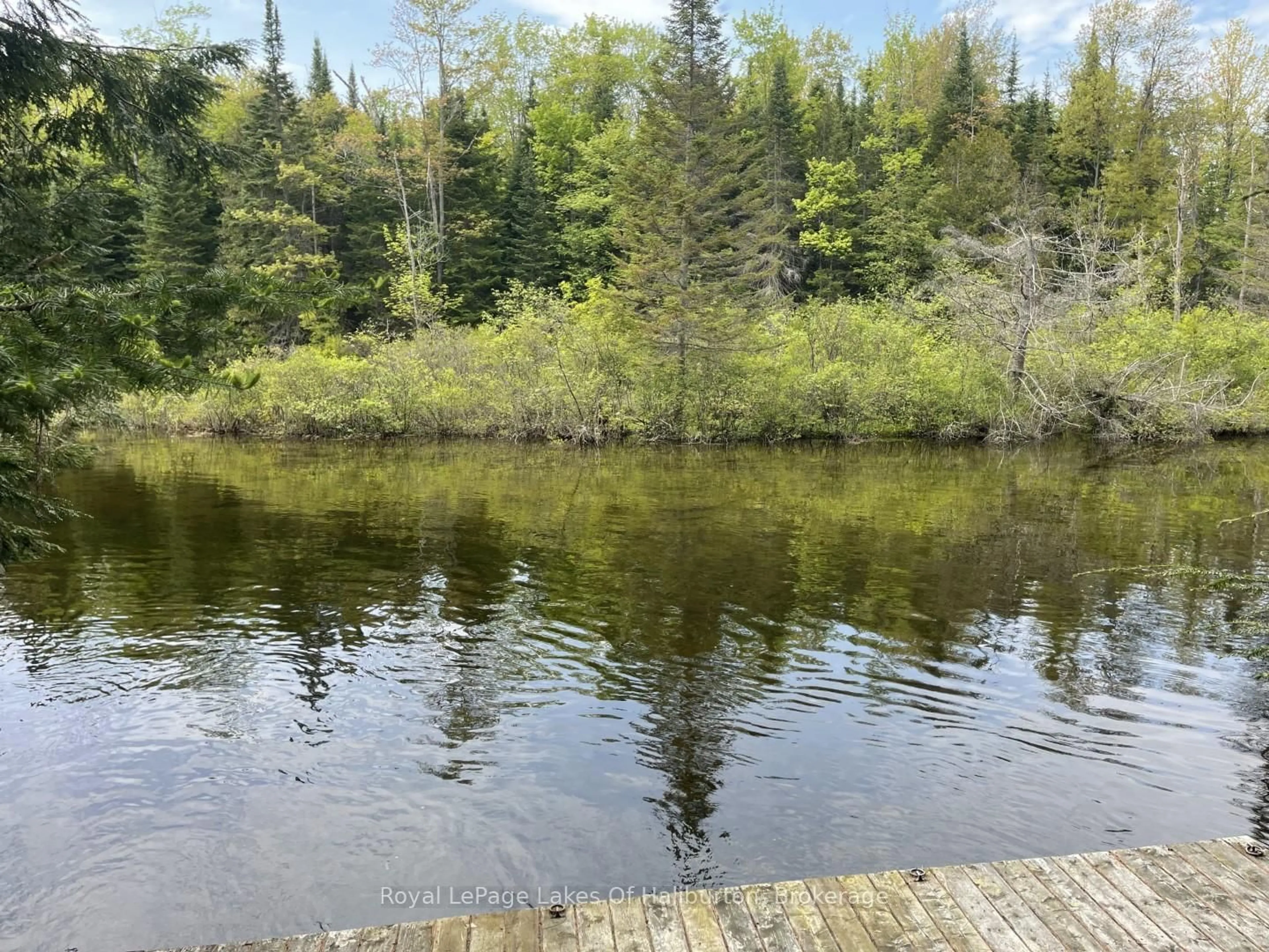Unknown for 1675 Braeloch Rd, Algonquin Highlands Ontario K0M 1S0