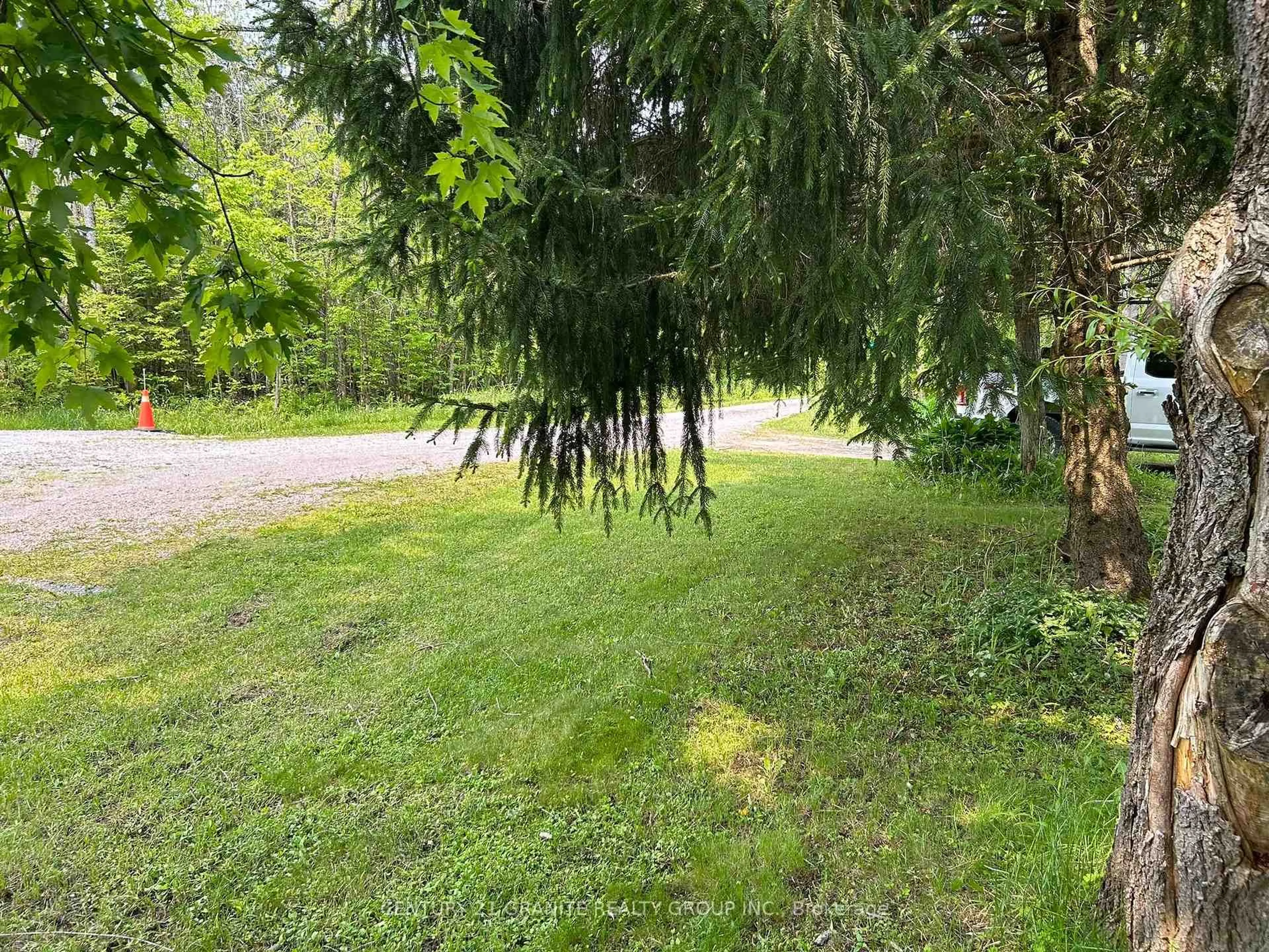 A pic from outside/outdoor area/front of a property/back of a property/a pic from drone, forest/trees view for 5 Chateau Pl, Kawartha Lakes Ontario K0M 1N0