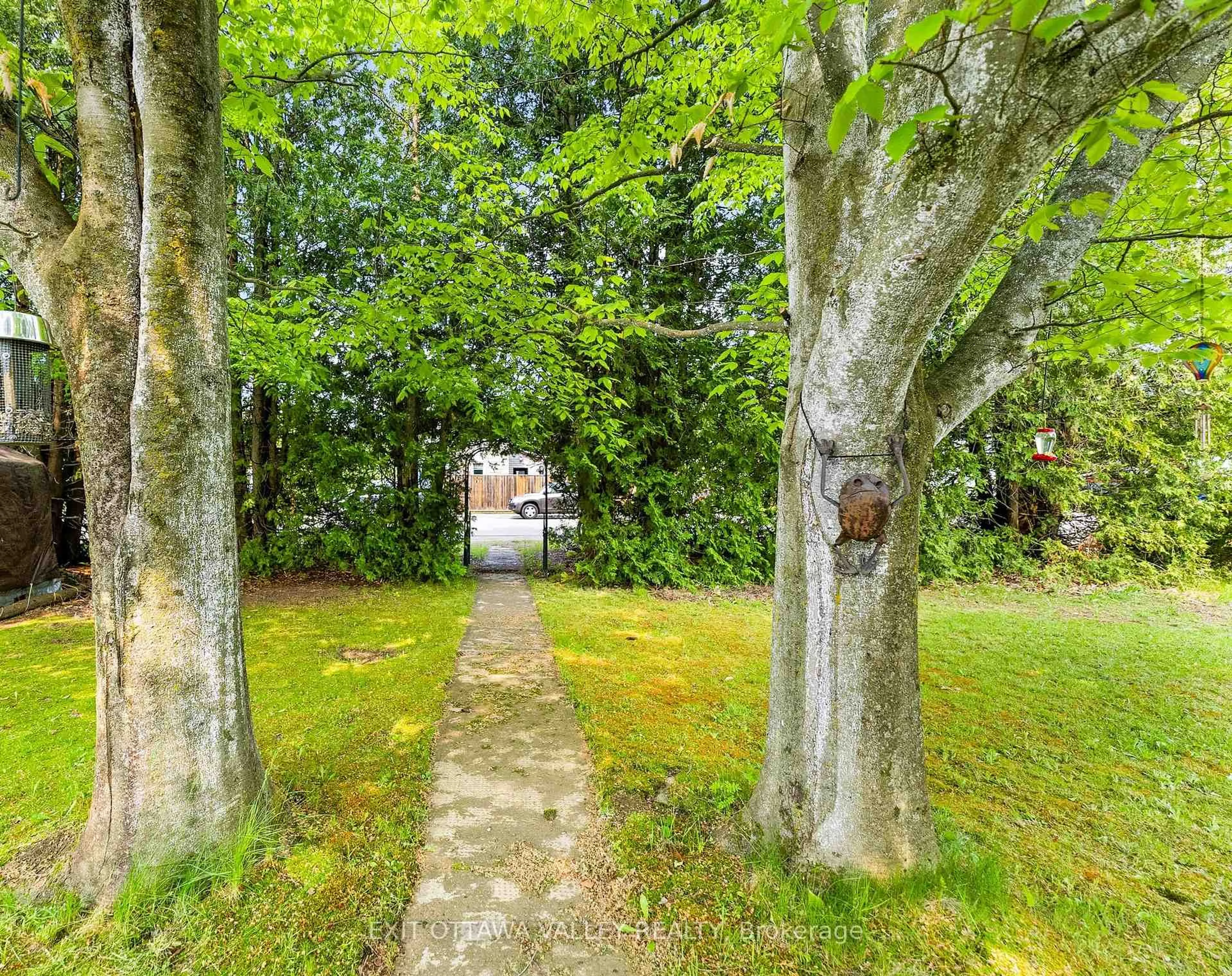 A pic from outside/outdoor area/front of a property/back of a property/a pic from drone, forest/trees view for 117 Bay St, Barry's Bay Ontario K0J 1B0
