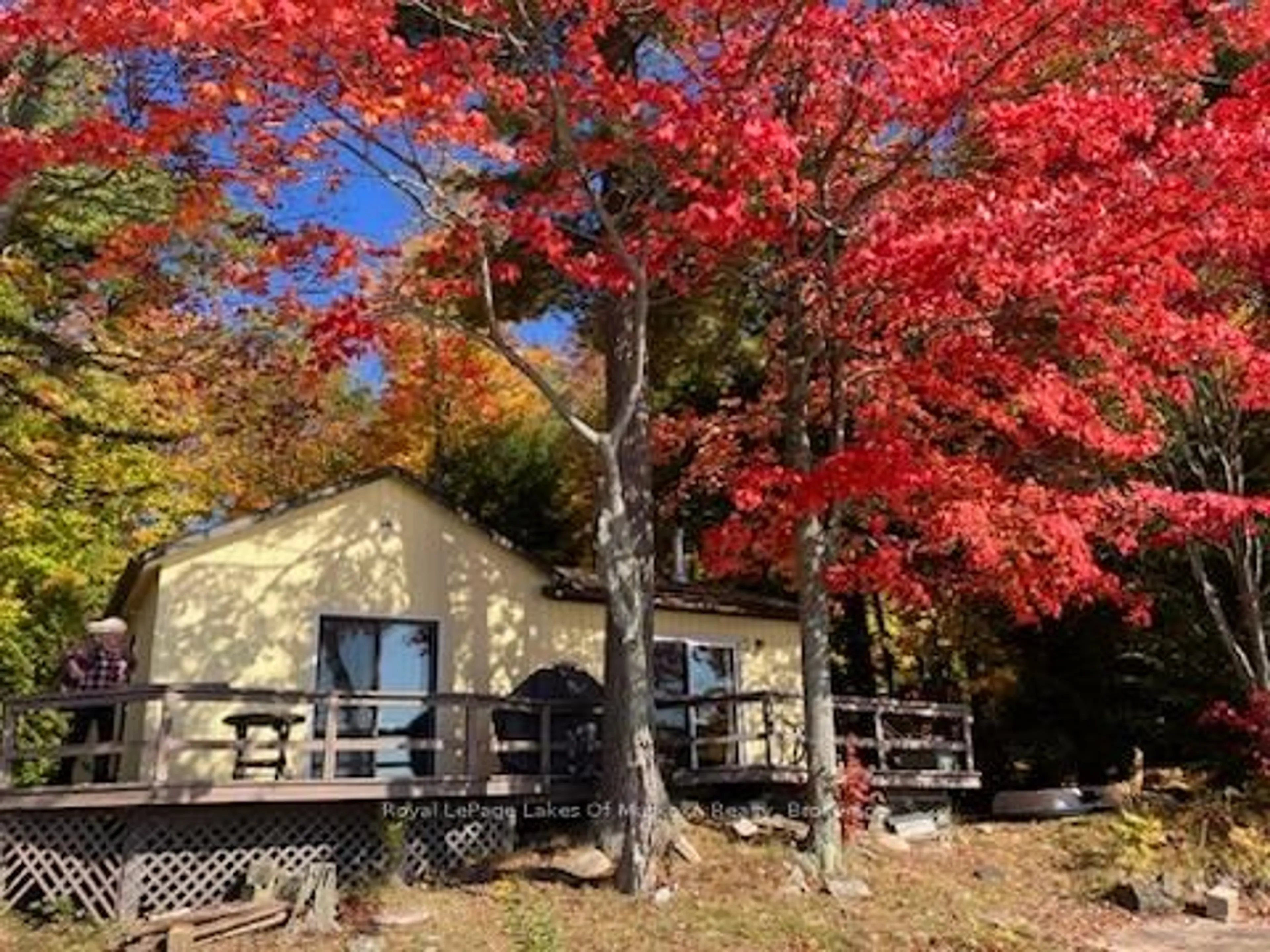 Shed for 68 Bear Lake Rd, Georgian Bay Ontario P0C 1H0