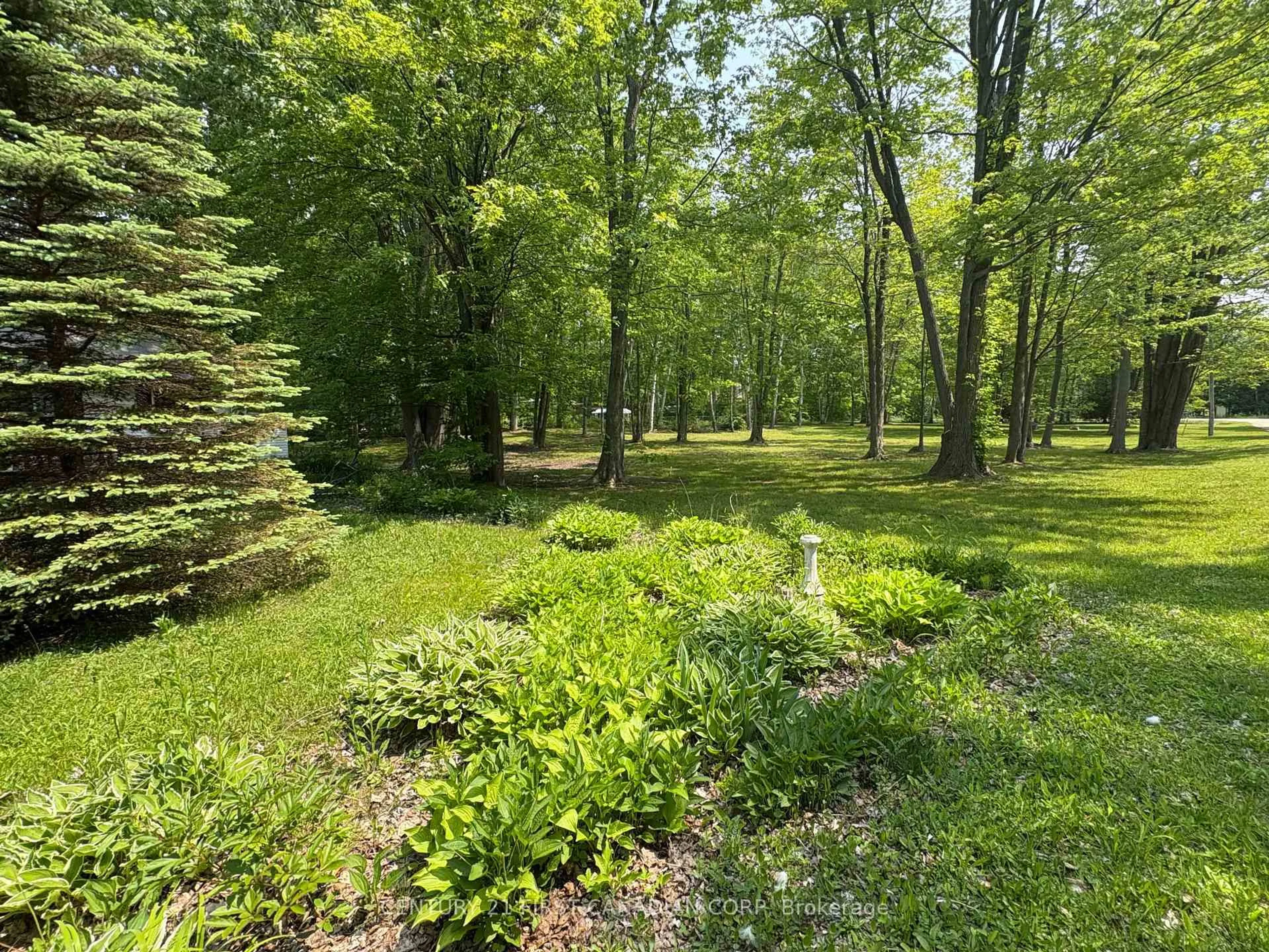 A pic from outside/outdoor area/front of a property/back of a property/a pic from drone, forest/trees view for 6096 BIRCH Lane, Lambton Shores Ontario N0N 1J2