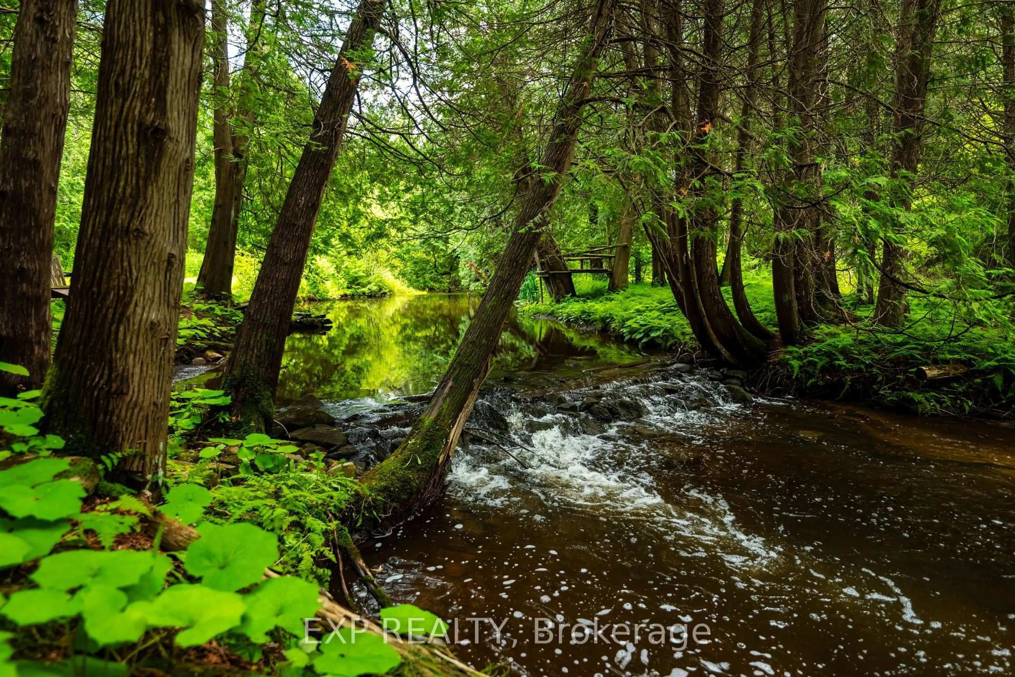 Blurry image for 506097 Highway 89, Mulmur Ontario L9V 0N6
