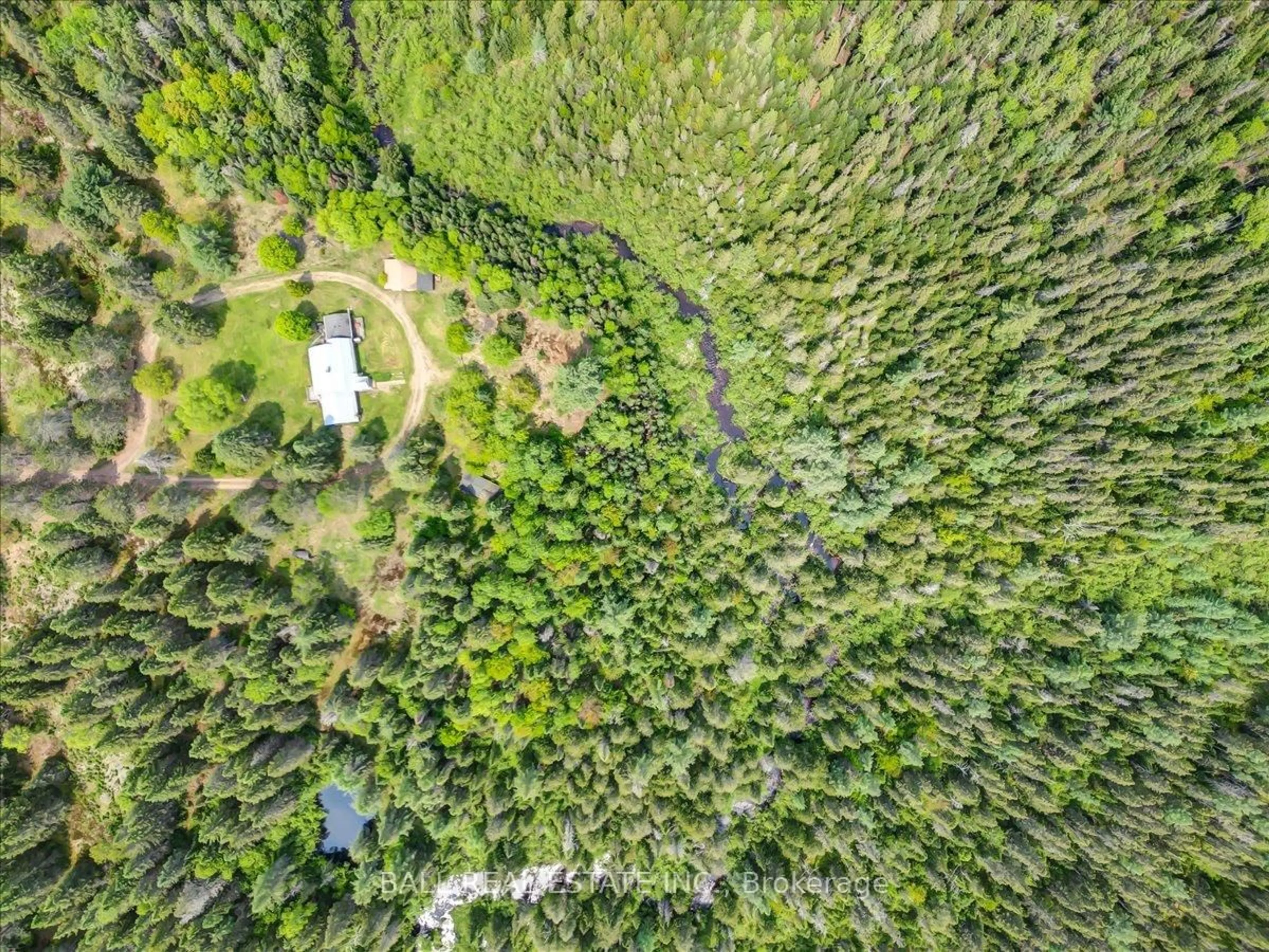 A pic from outside/outdoor area/front of a property/back of a property/a pic from drone, forest/trees view for 31104 Highway 62 North, Bancroft Ontario K0L 1C0