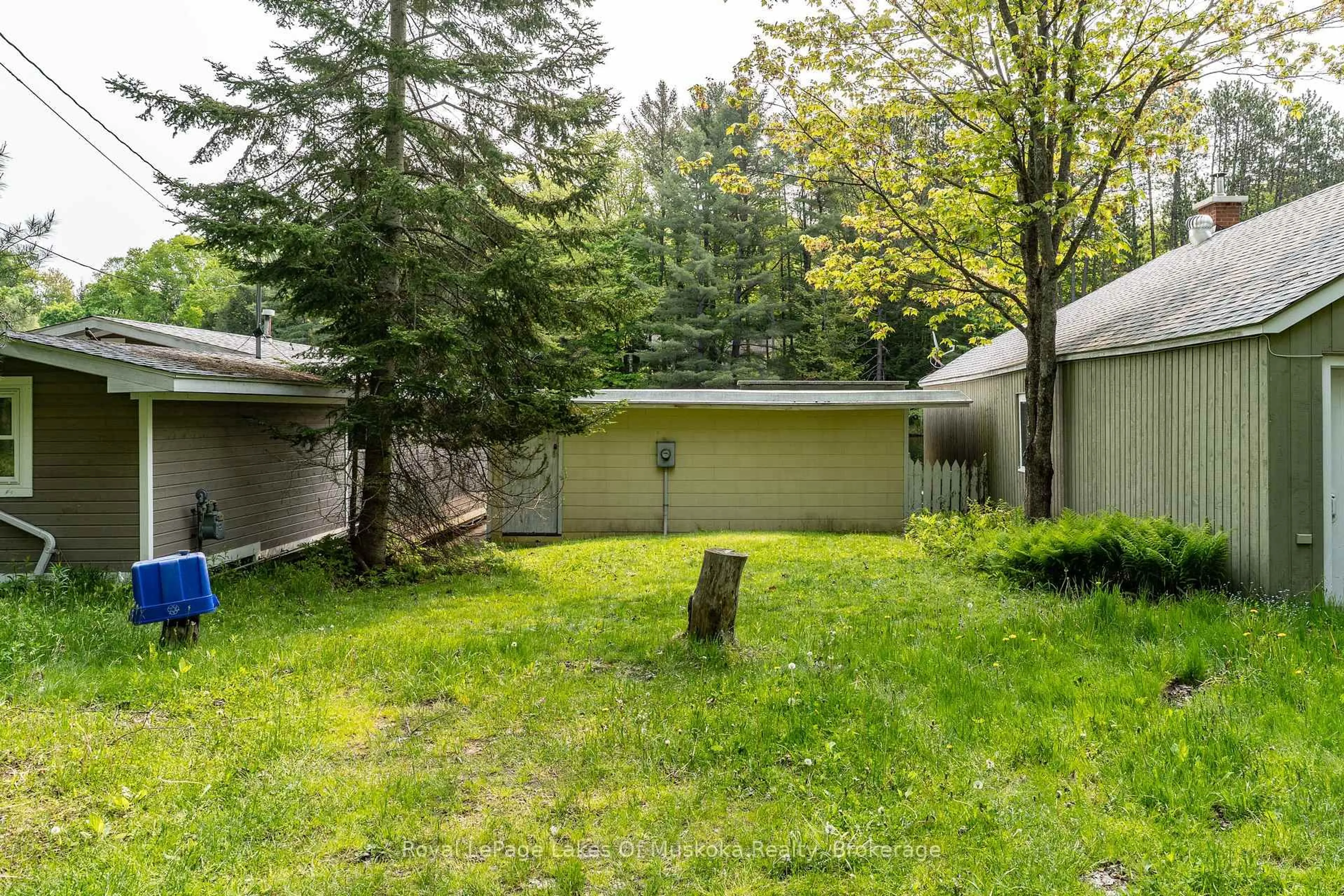 Patio, forest/trees view for 675 Muskoka 10 Rd, Huntsville Ontario P0B 1L0