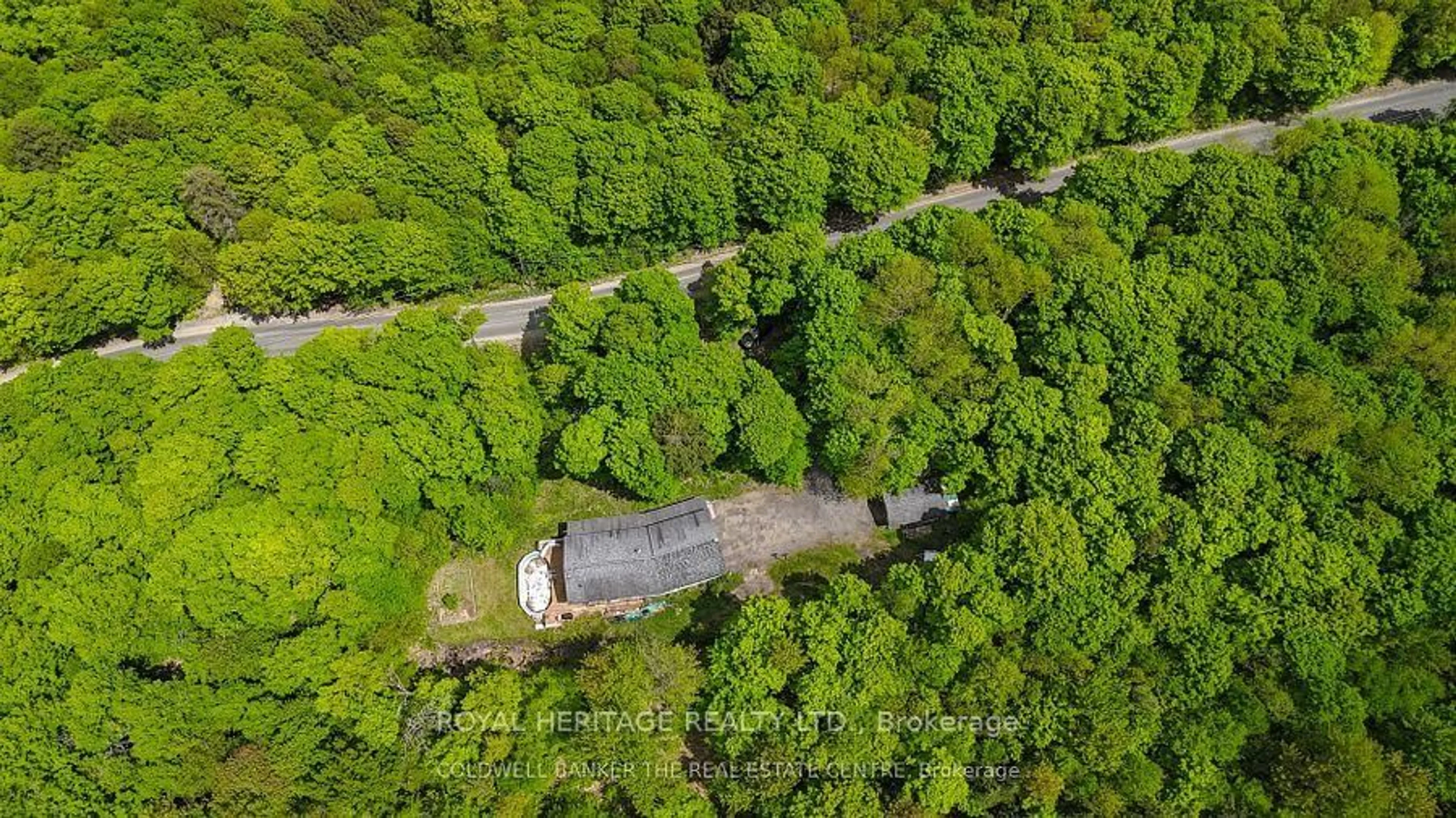 A pic from outside/outdoor area/front of a property/back of a property/a pic from drone, forest/trees view for 1030 Purbrook Rd, Bracebridge Ontario P1L 1X3