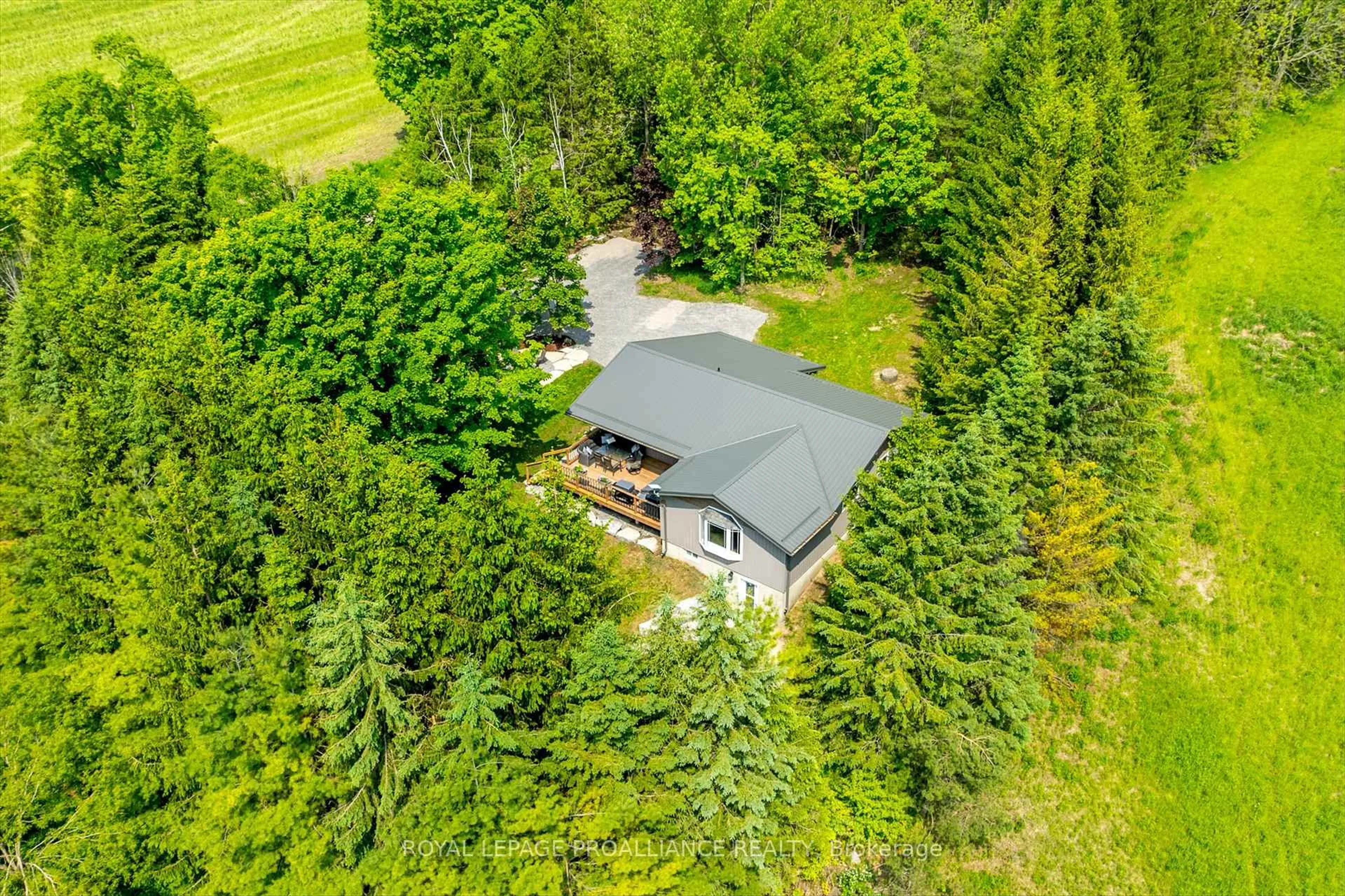 A pic from outside/outdoor area/front of a property/back of a property/a pic from drone, forest/trees view for 4045 Bowman Rd, Hamilton Township Ontario K9A 4J9