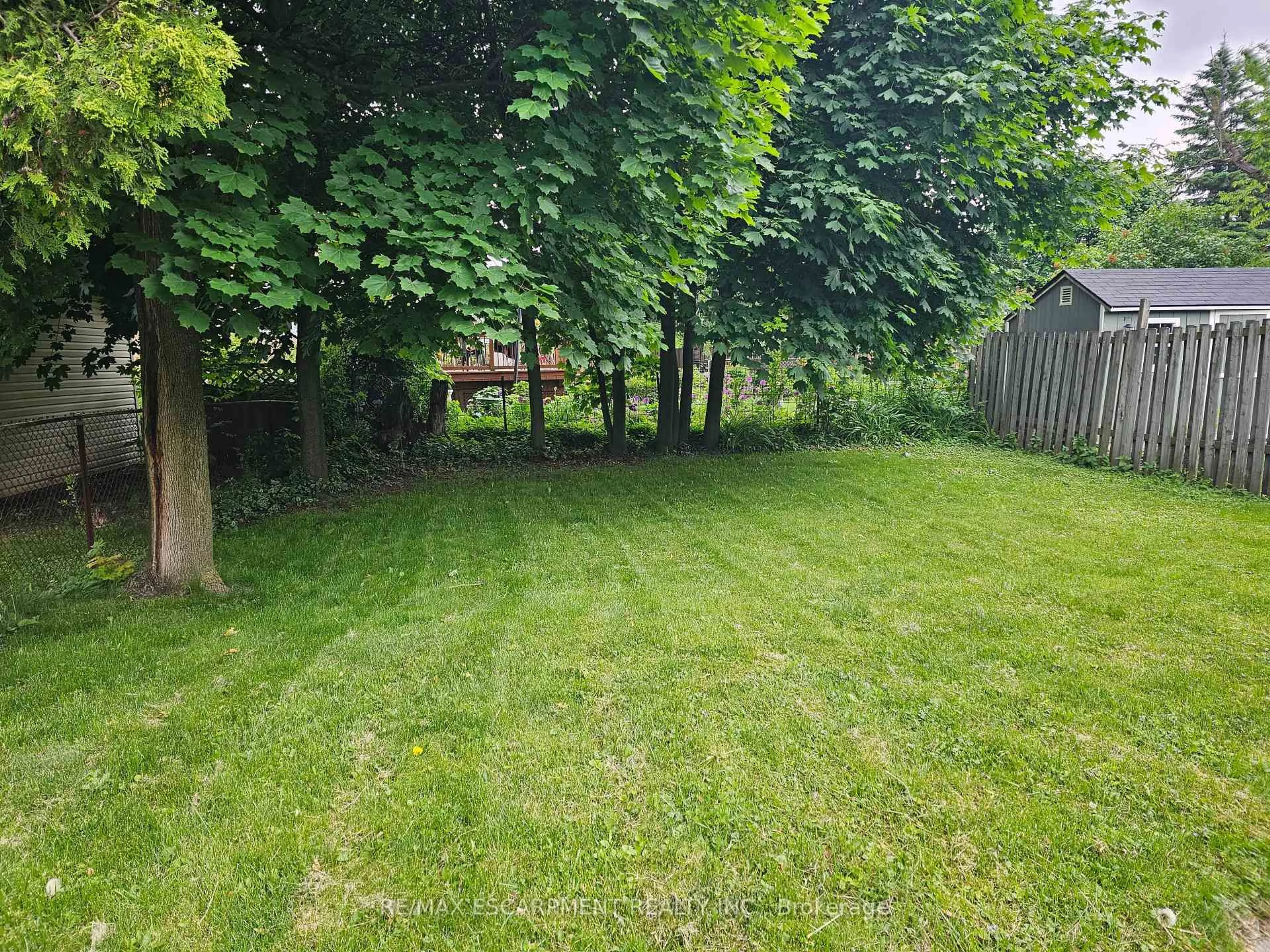 A pic from outside/outdoor area/front of a property/back of a property/a pic from drone, forest/trees view for 531 Queensdale Ave, Hamilton Ontario L8V 1L1