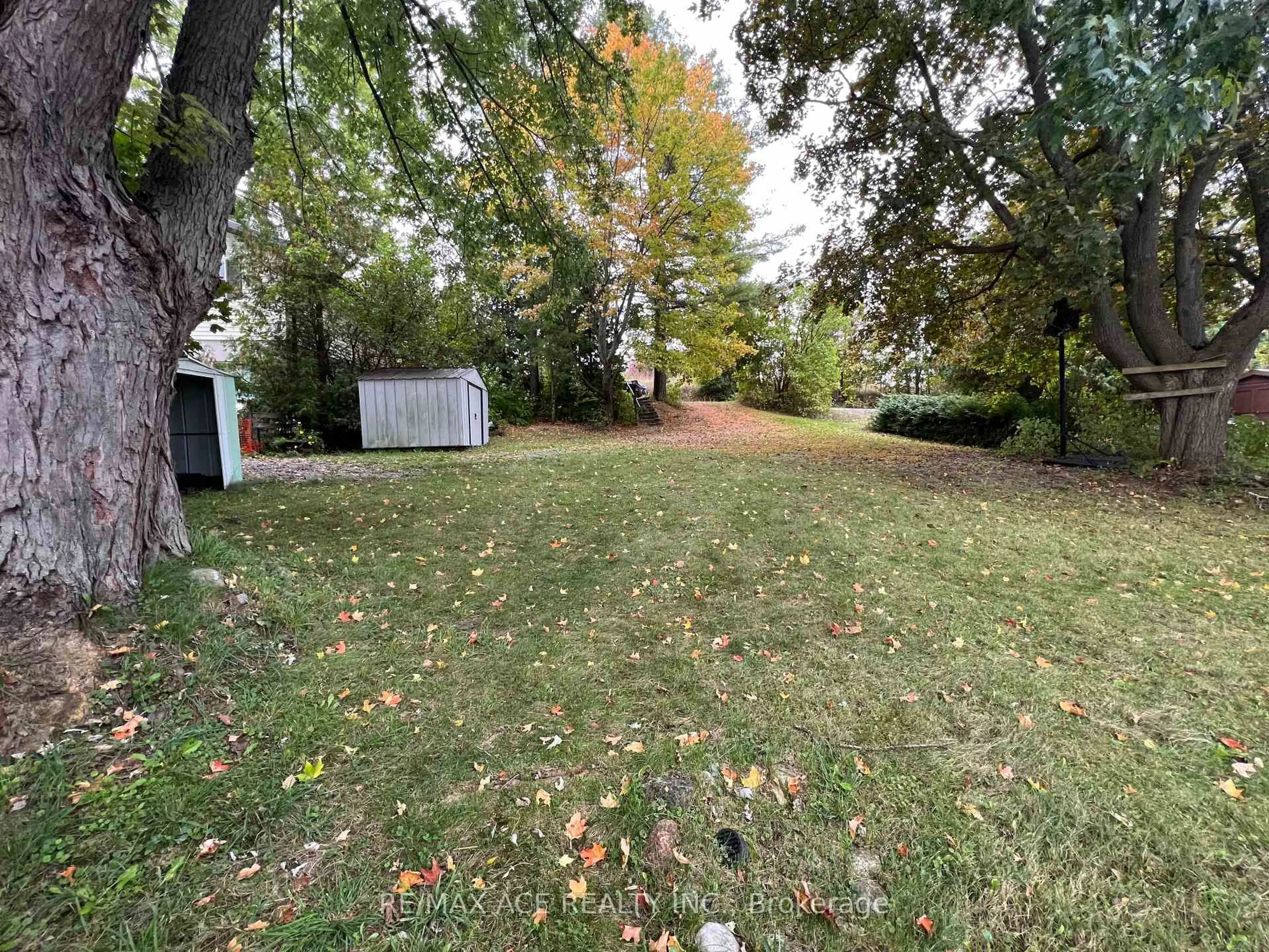 A pic from outside/outdoor area/front of a property/back of a property/a pic from drone, forest/trees view for 41 North Taylor Rd, Kawartha Lakes Ontario K0M 2B0