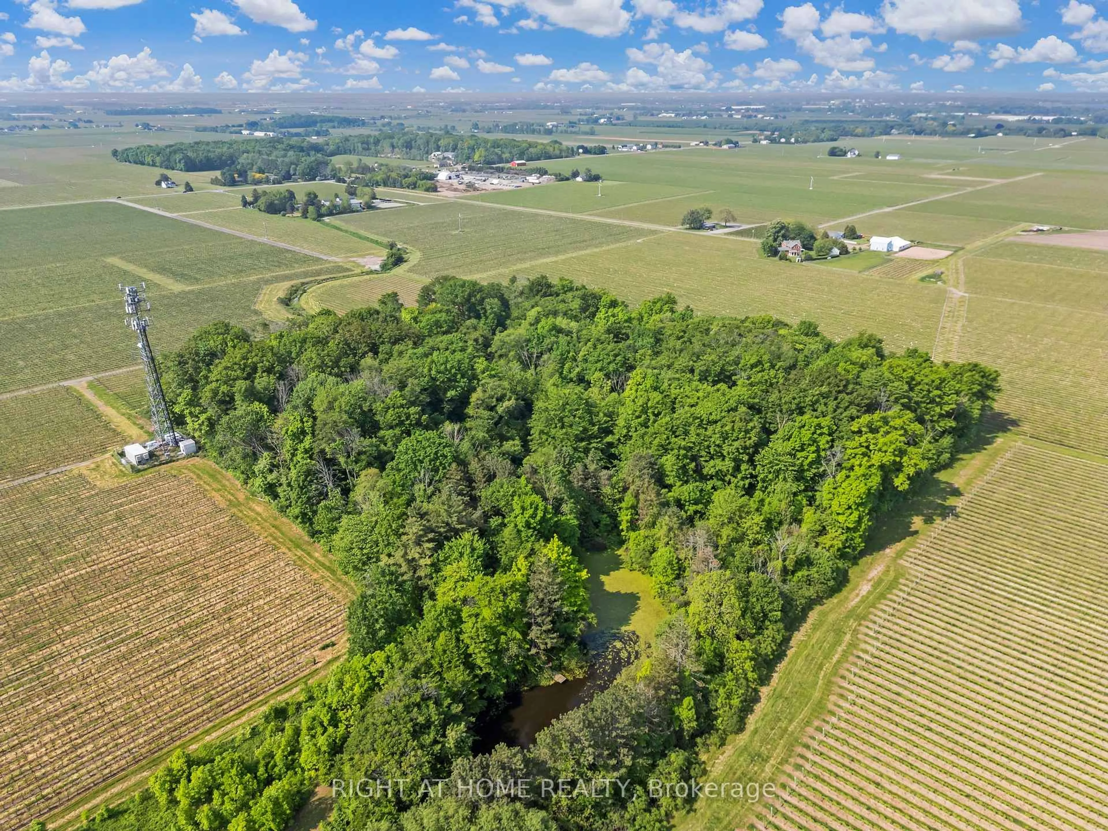 A pic from outside/outdoor area/front of a property/back of a property/a pic from drone, forest/trees view for 1940 Wagg Rd, Niagara-on-the-Lake Ontario L0S 1J0