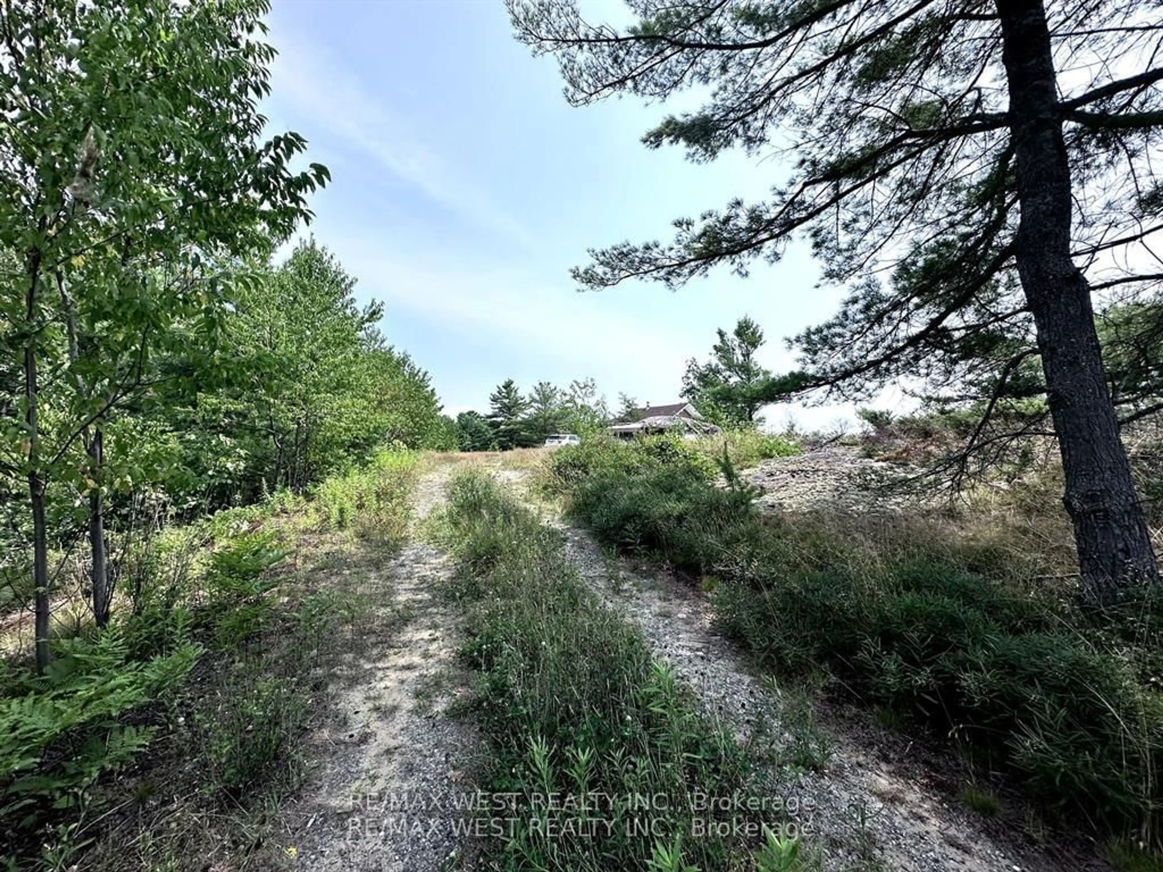 A pic from outside/outdoor area/front of a property/back of a property/a pic from drone, forest/trees view for 52 North Shore Rd, The Archipelago Ontario P0G 1K0