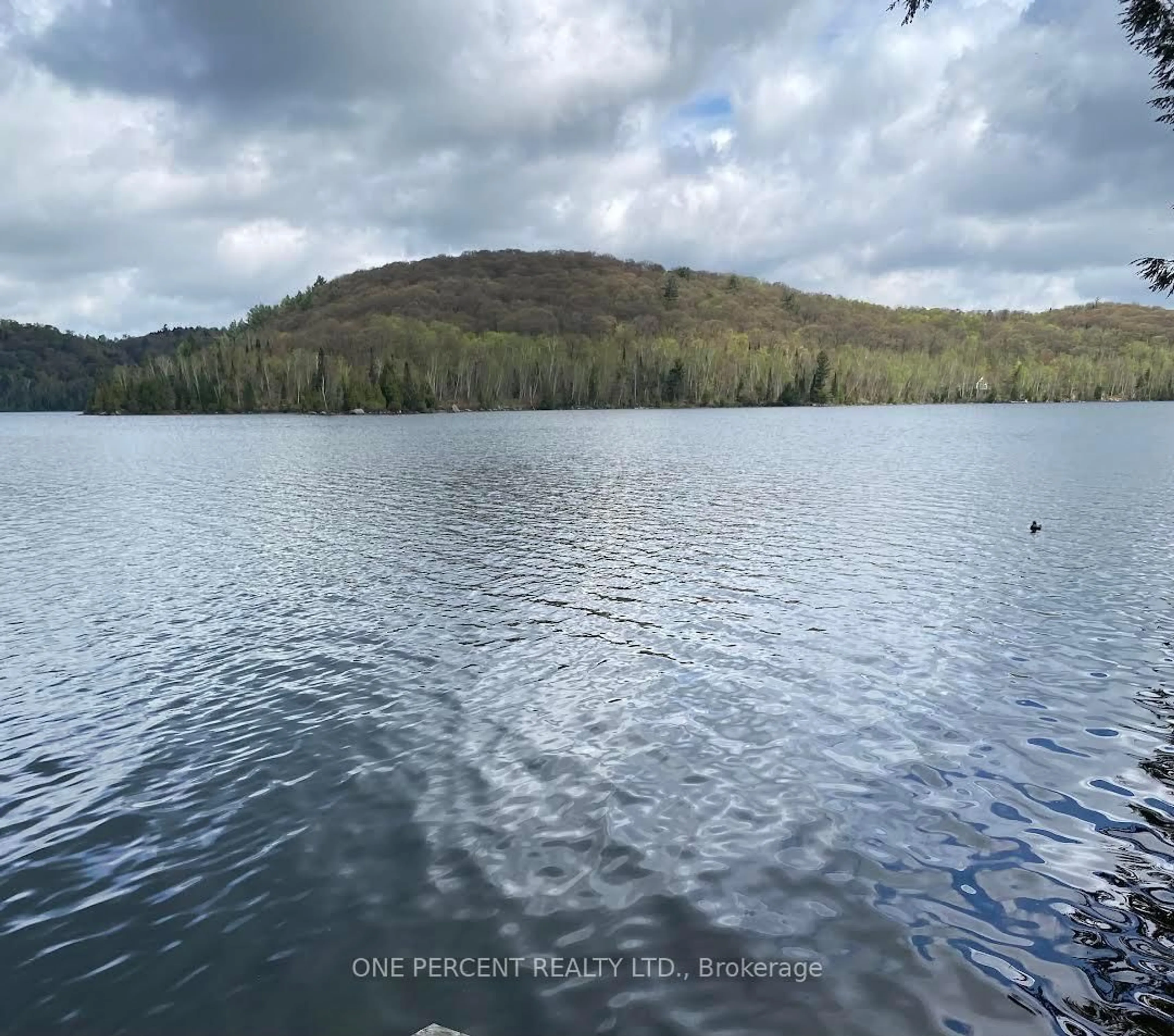 Blurry image for 393 Loon Lake Rd, Kearney Ontario P0A 1M0