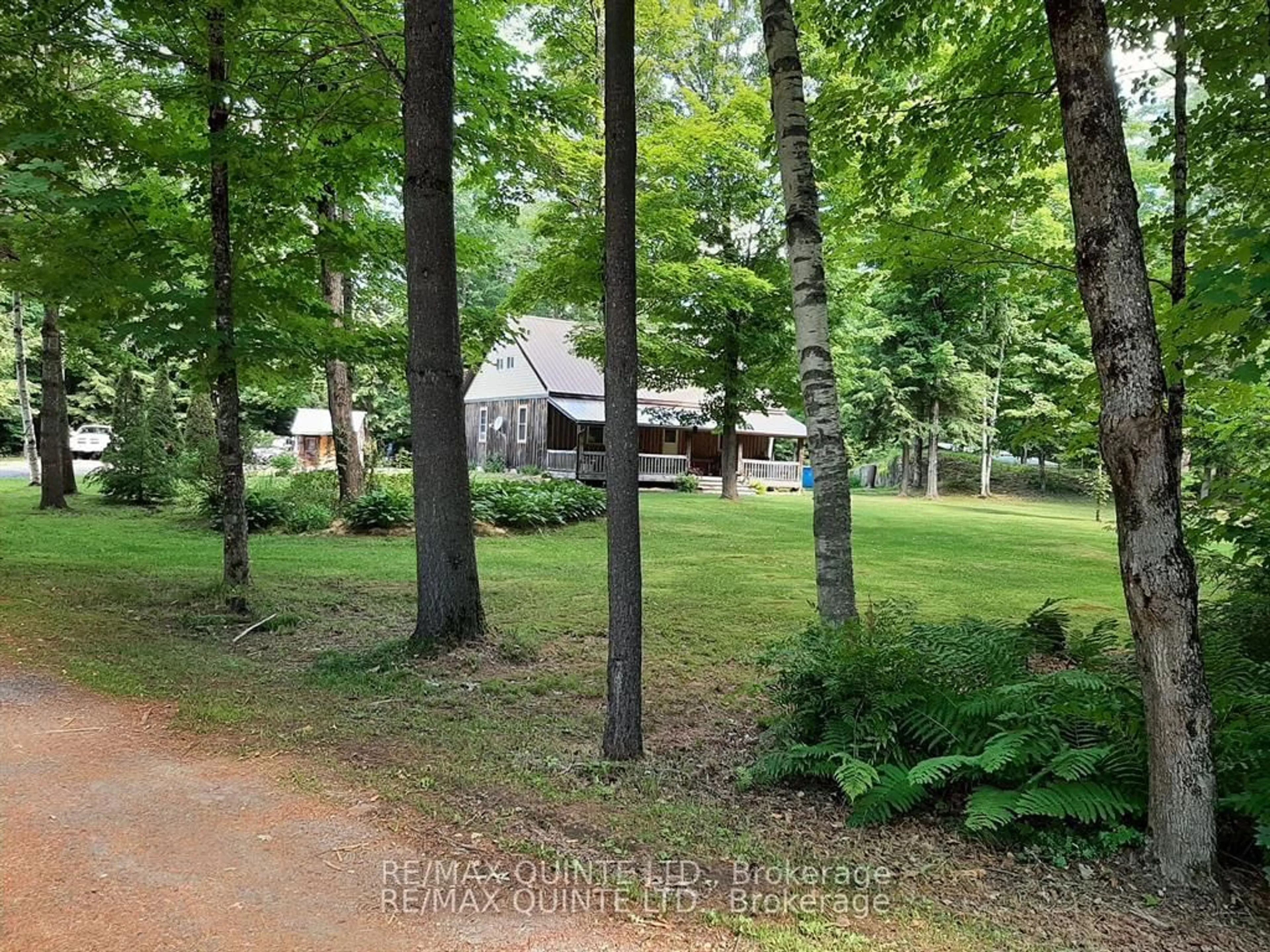 A pic from outside/outdoor area/front of a property/back of a property/a pic from drone, forest/trees view for 3247 Flinton Rd, Addington Highlands Ontario K0P 1P0