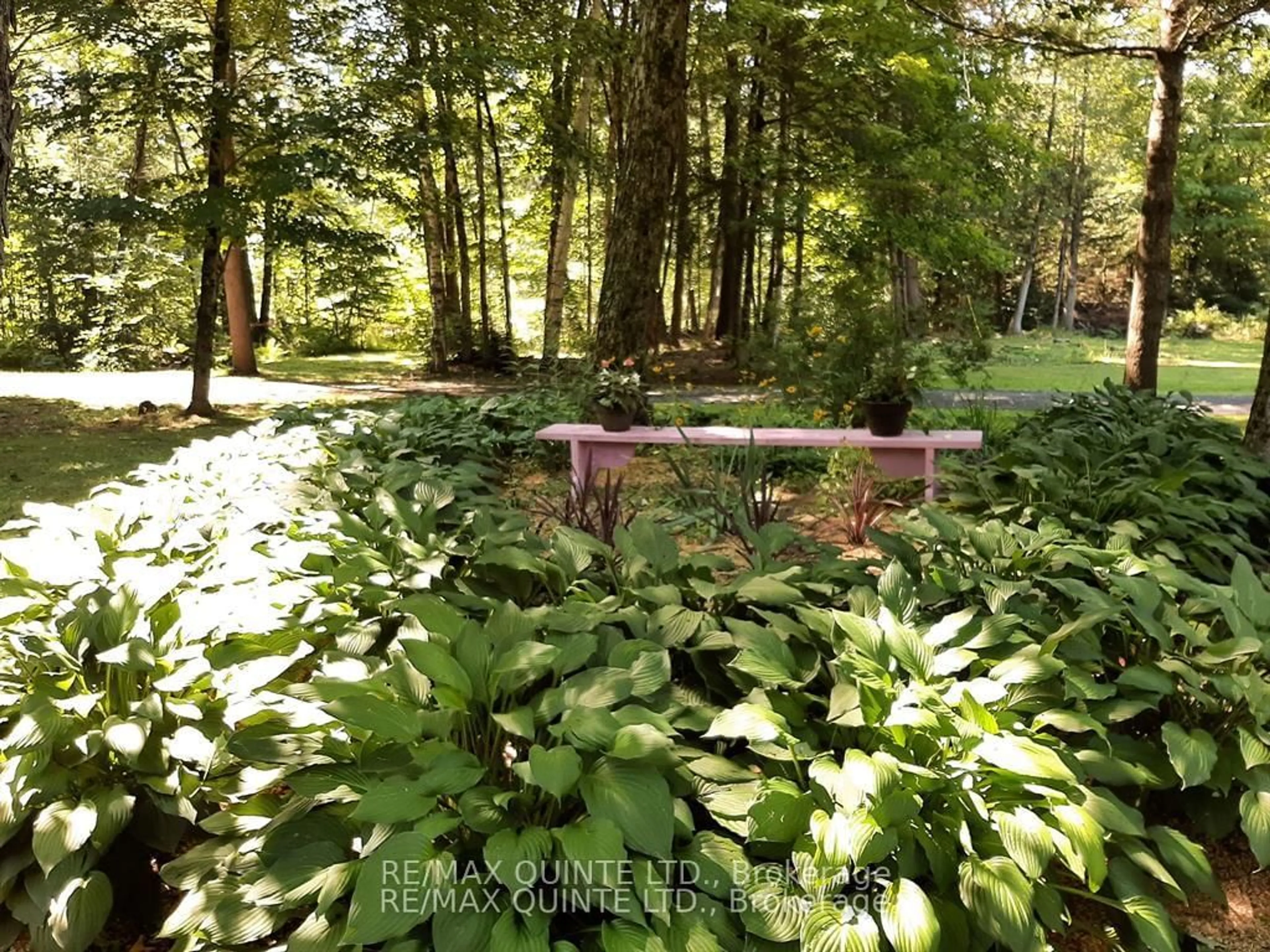 Patio, forest/trees view for 3247 Flinton Rd, Addington Highlands Ontario K0P 1P0