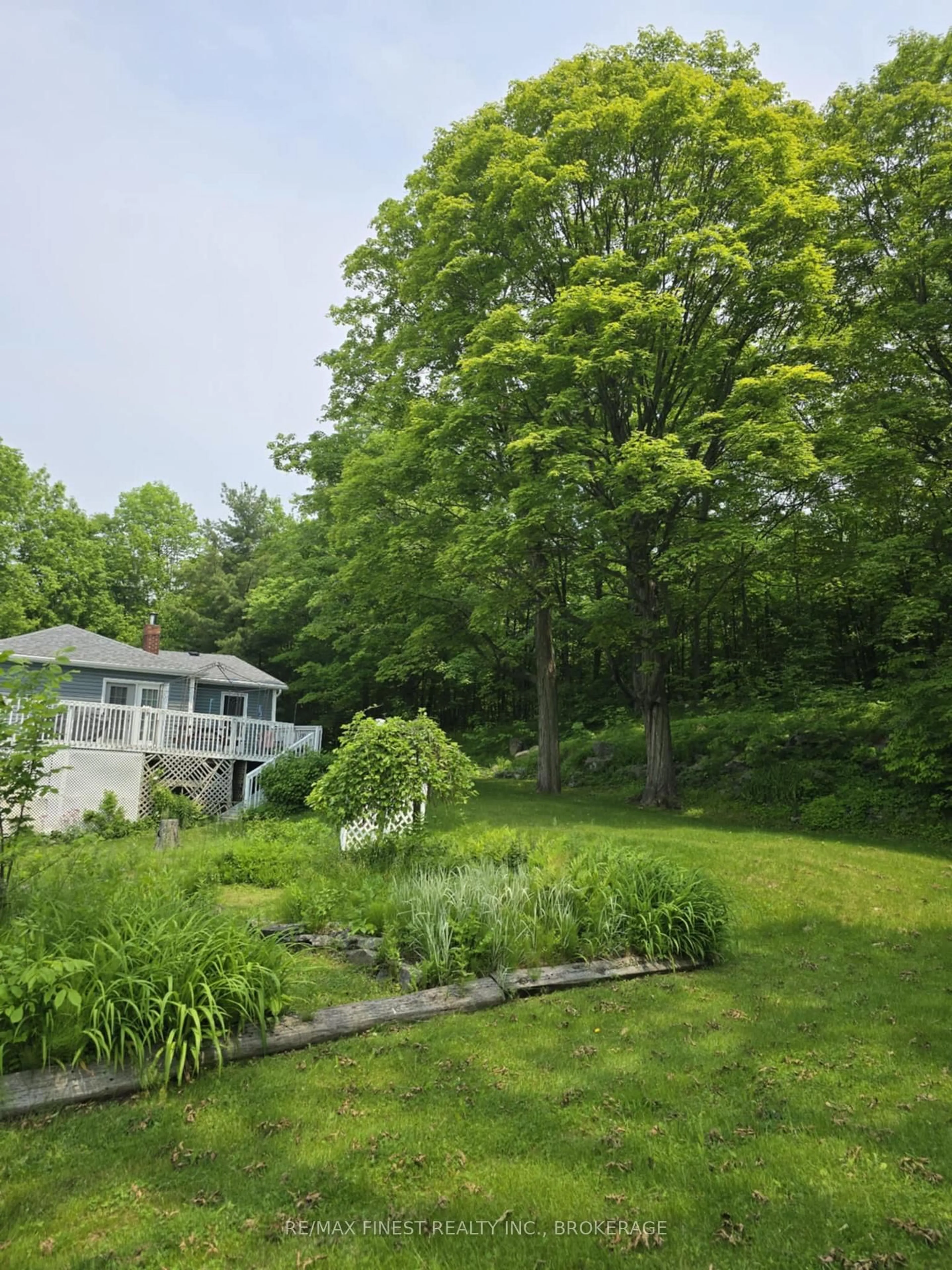 A pic from outside/outdoor area/front of a property/back of a property/a pic from drone, forest/trees view for 13698 Road 38, Sharbot Lake Ontario K0H 2P0