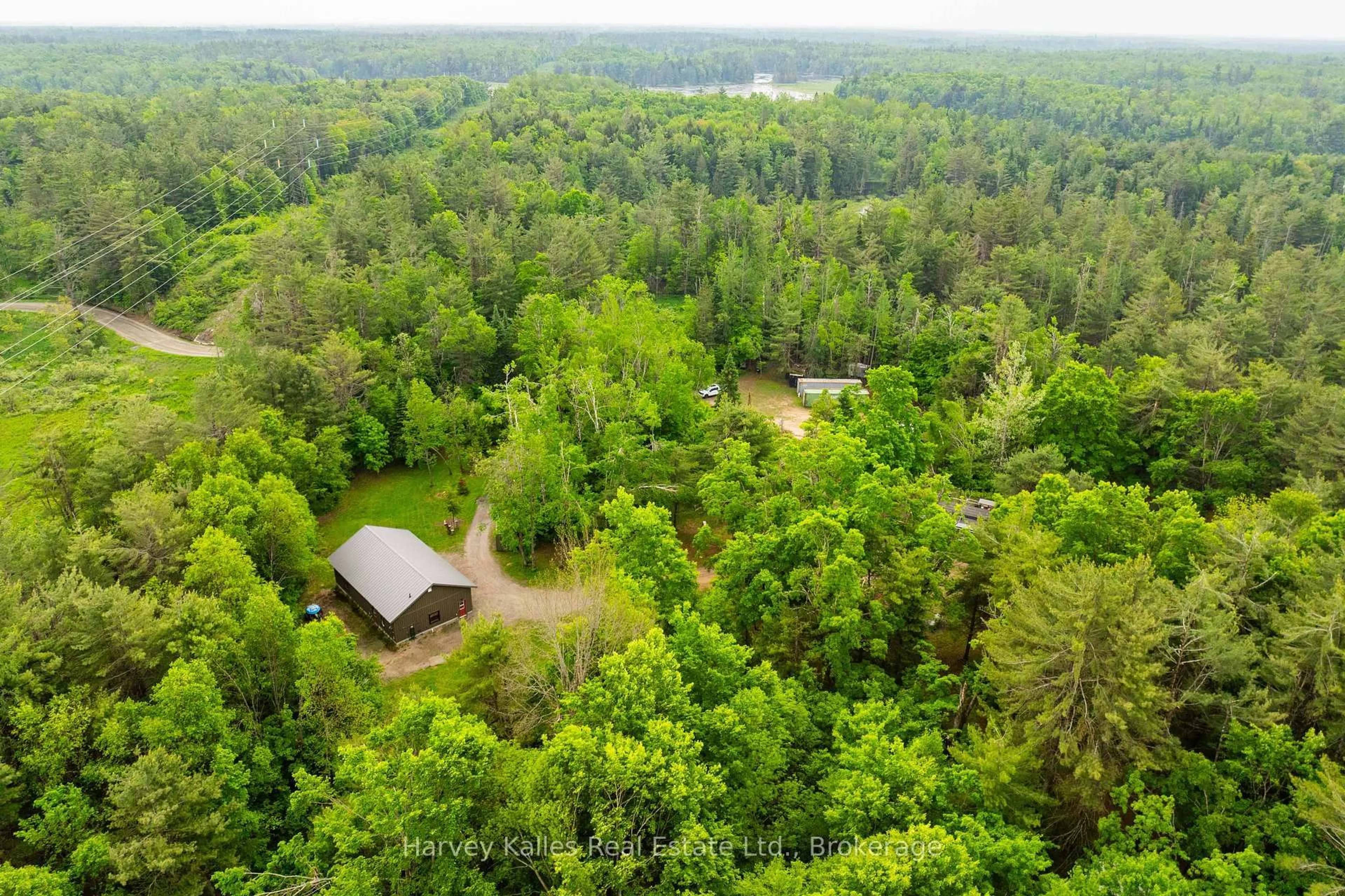 A pic from outside/outdoor area/front of a property/back of a property/a pic from drone, forest/trees view for 1165 Peterson Rd, Bracebridge Ontario P1L 1X1