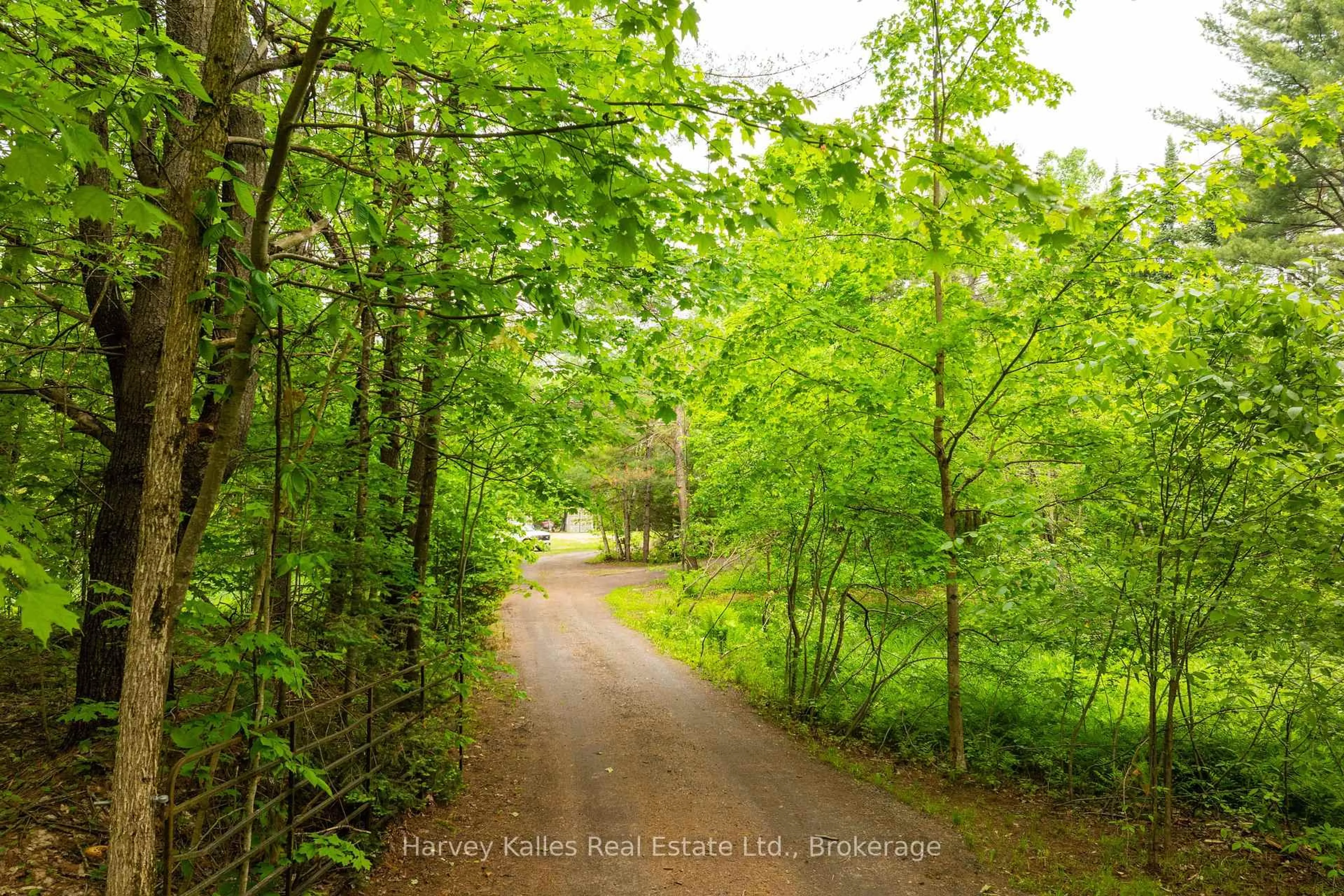 A pic from outside/outdoor area/front of a property/back of a property/a pic from drone, forest/trees view for 1165 Peterson Rd, Bracebridge Ontario P1L 1X1
