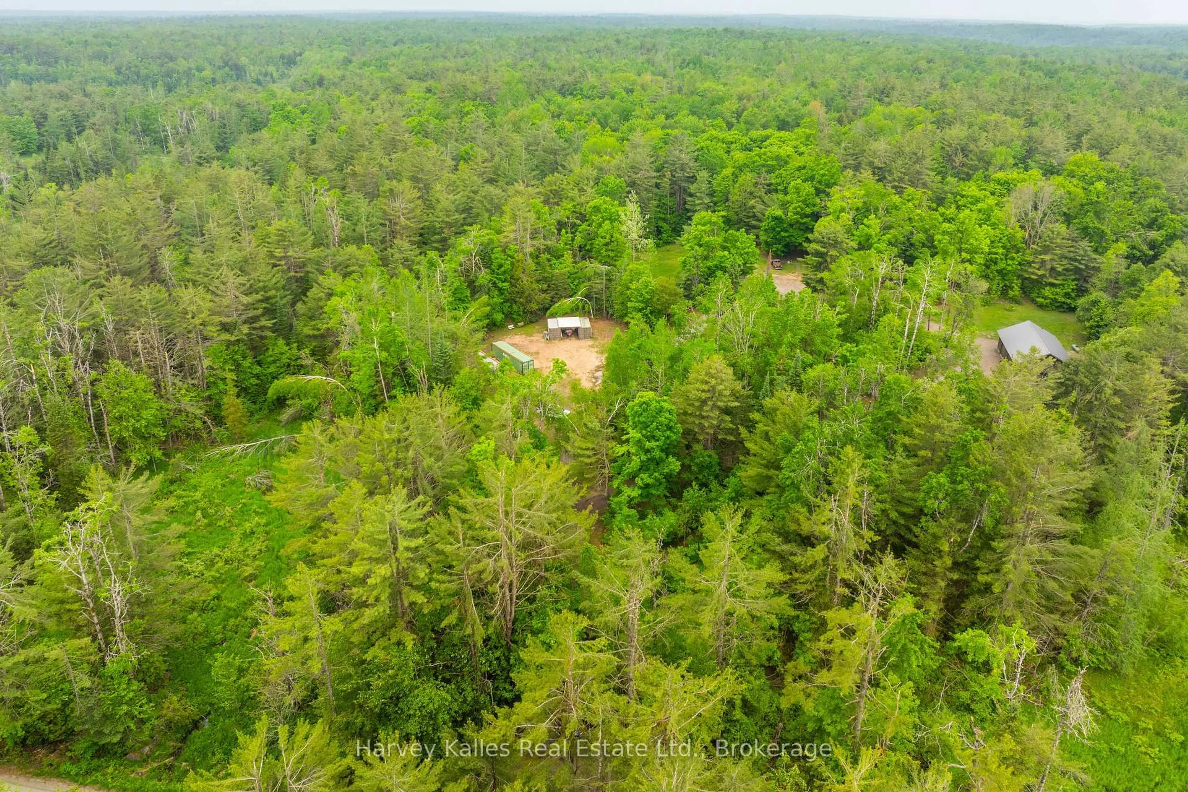 A pic from outside/outdoor area/front of a property/back of a property/a pic from drone, forest/trees view for 1165 Peterson Rd, Bracebridge Ontario P1L 1X1