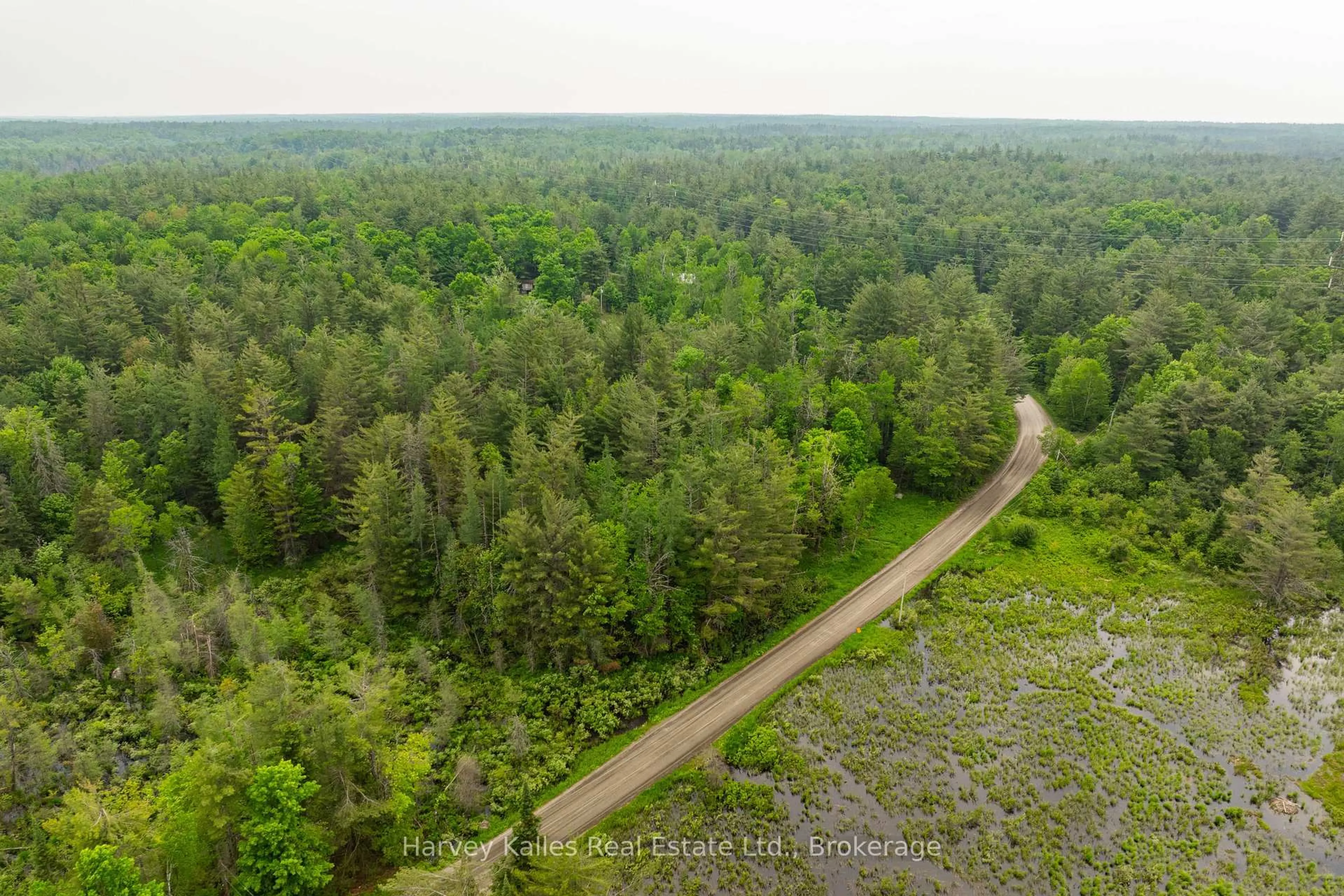 A pic from outside/outdoor area/front of a property/back of a property/a pic from drone, forest/trees view for 1165 Peterson Rd, Bracebridge Ontario P1L 1X1