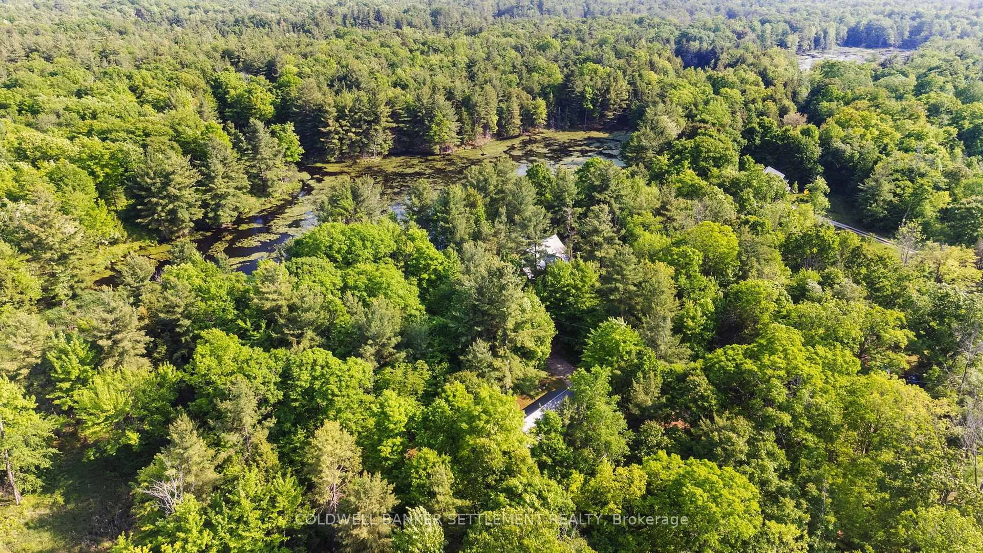 A pic from outside/outdoor area/front of a property/back of a property/a pic from drone, forest/trees view for 1093 Althorpe Rd, Tay Valley Ontario K7H 3R9