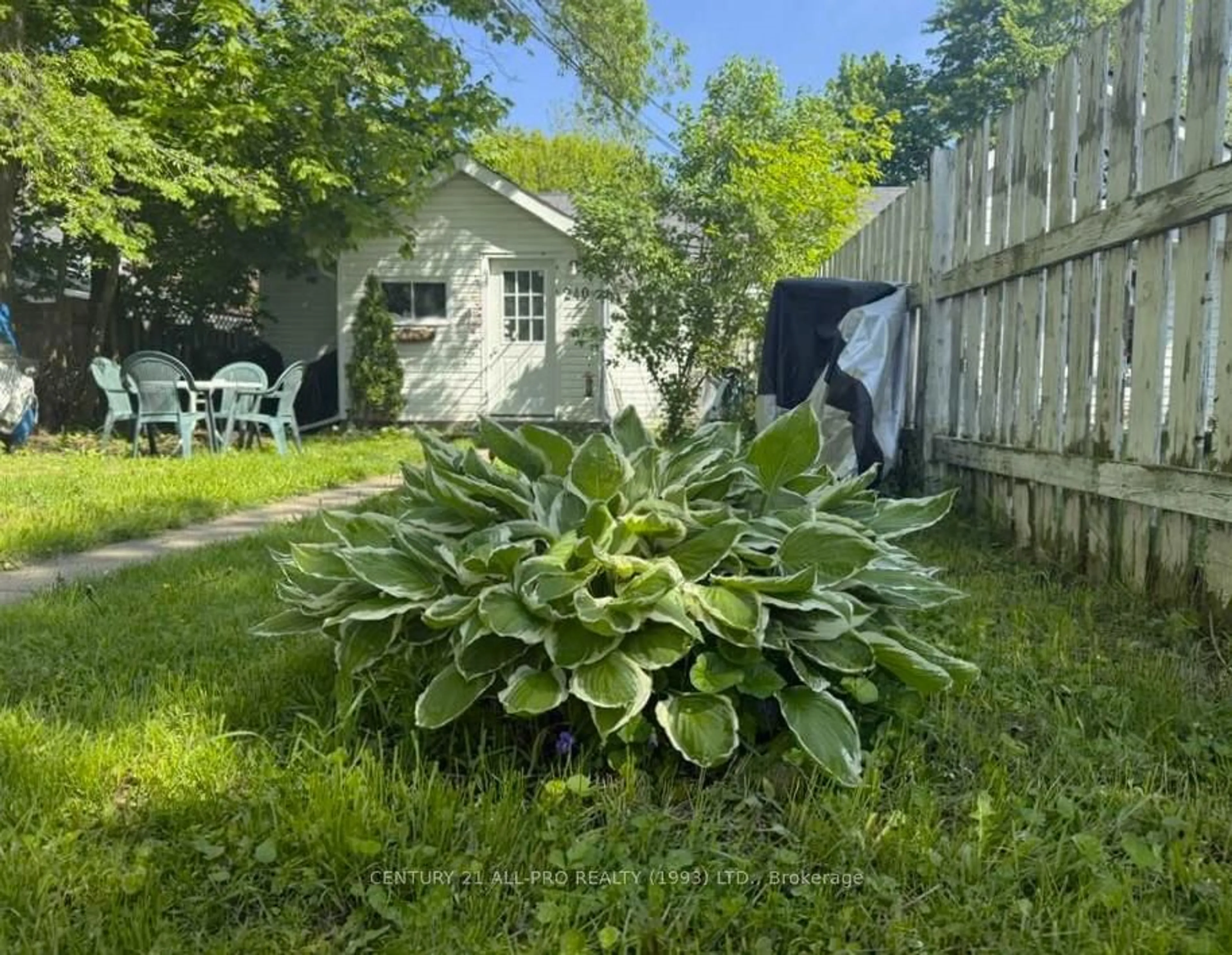 Shed for 240 University Ave, Cobourg Ontario K9A 2E9