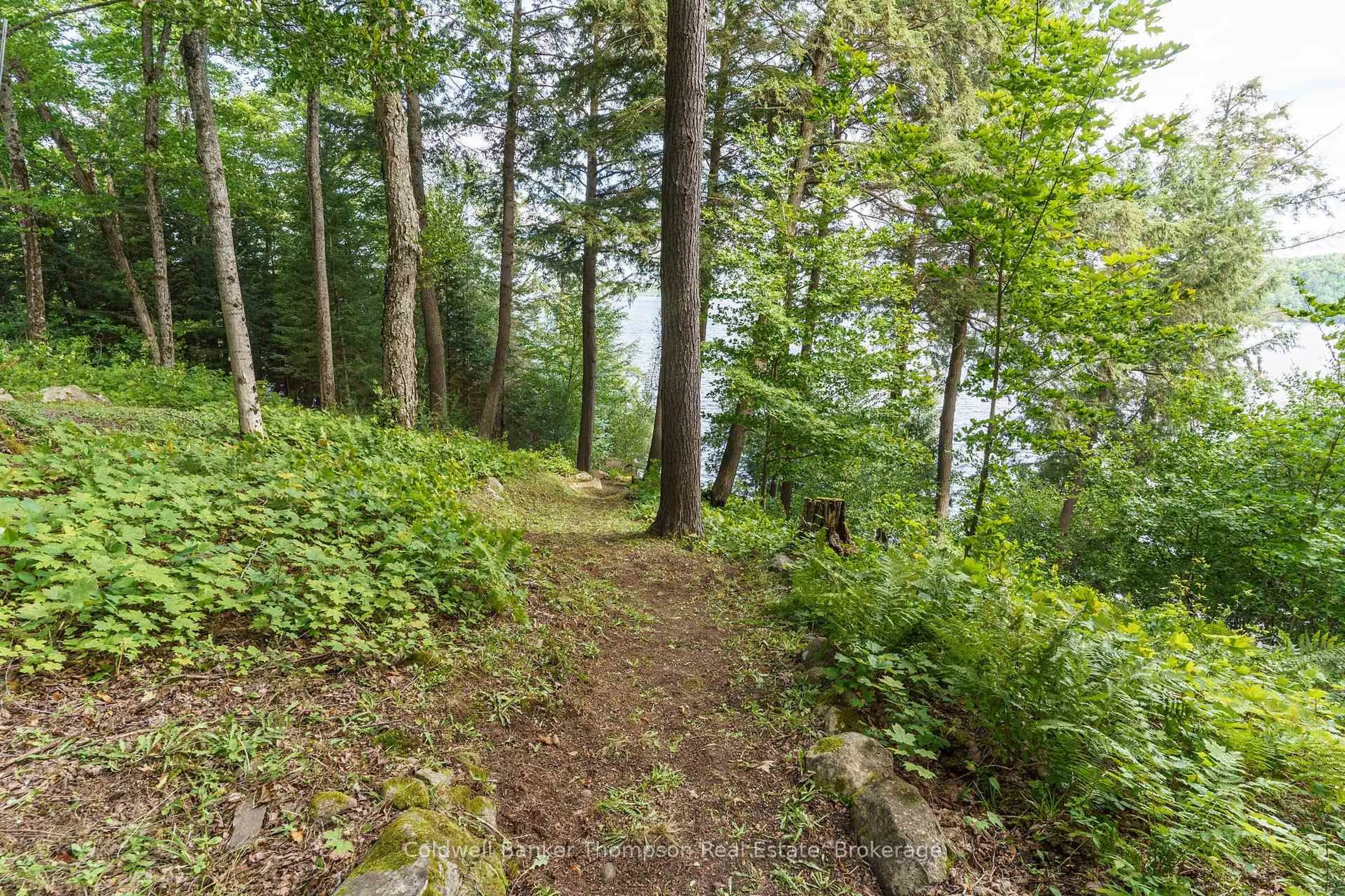 Patio, forest/trees view for 115 Sandwood Dr, Burk's Falls Ontario P0A 1C0