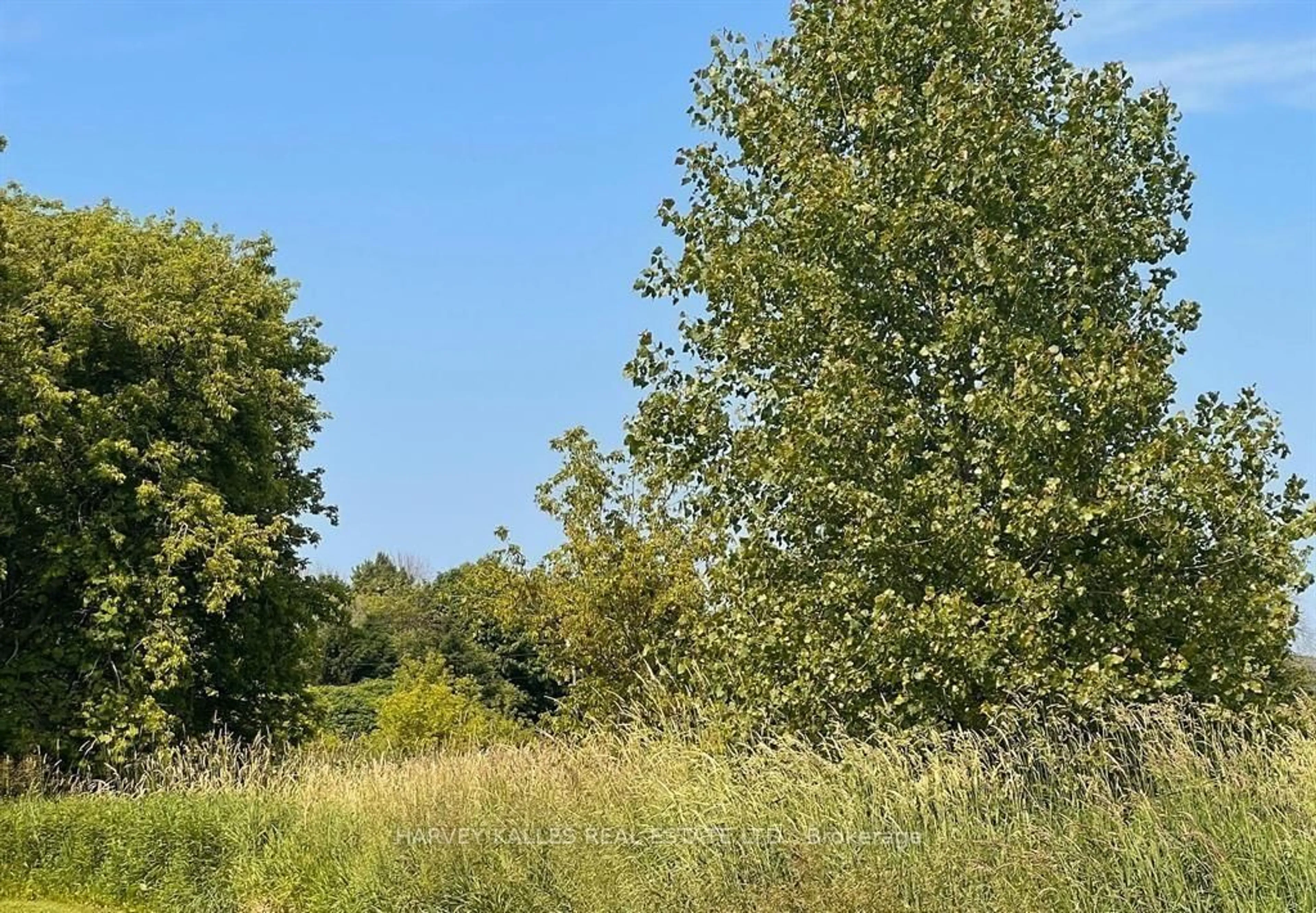Blurry image for 308 Quaker Rd, Prince Edward County Ontario K0K 1G0