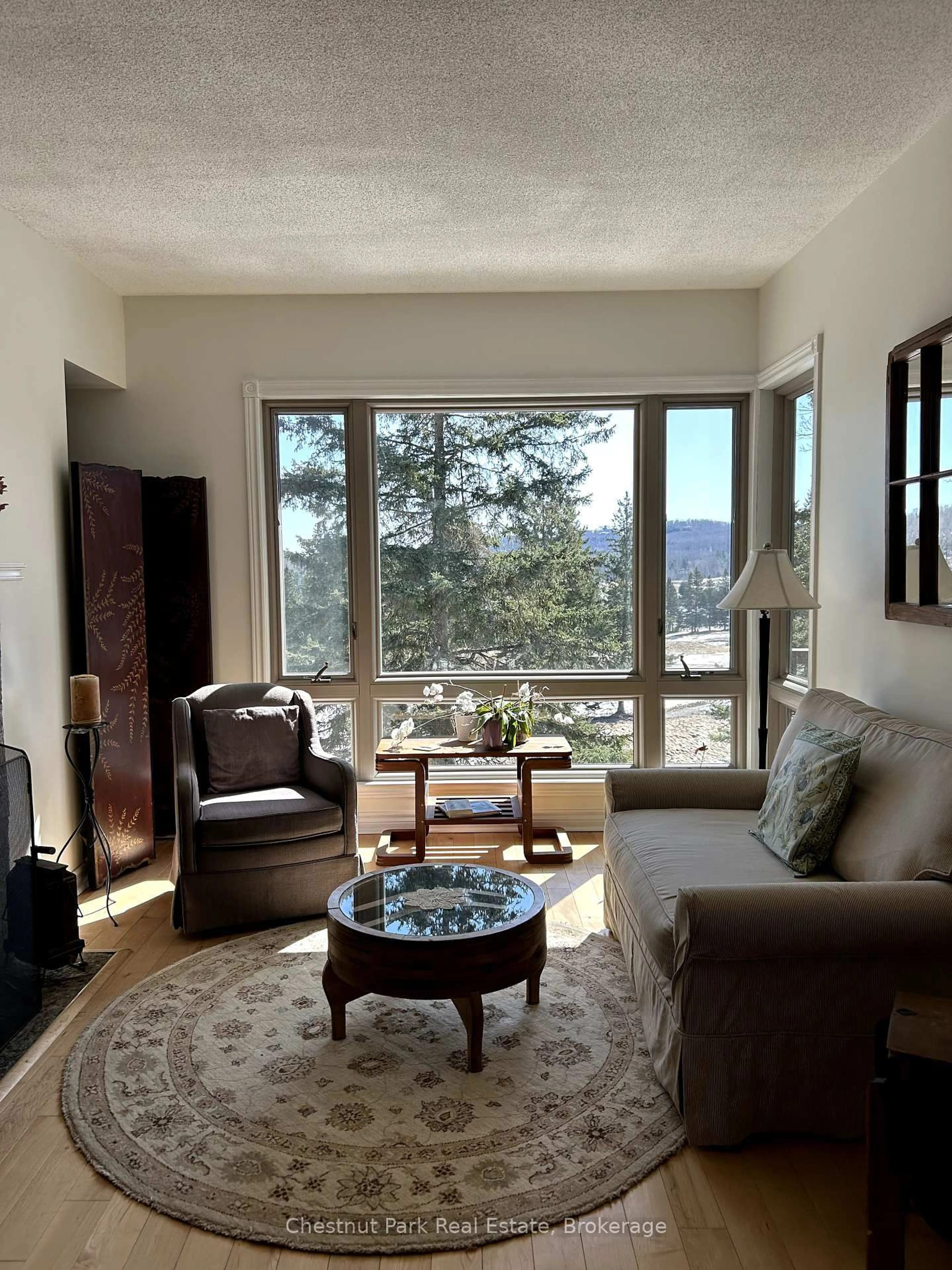 Living room with furniture, unknown for 3421 Grandview Forest Hill Dr #5, Huntsville Ontario P1H 2J5