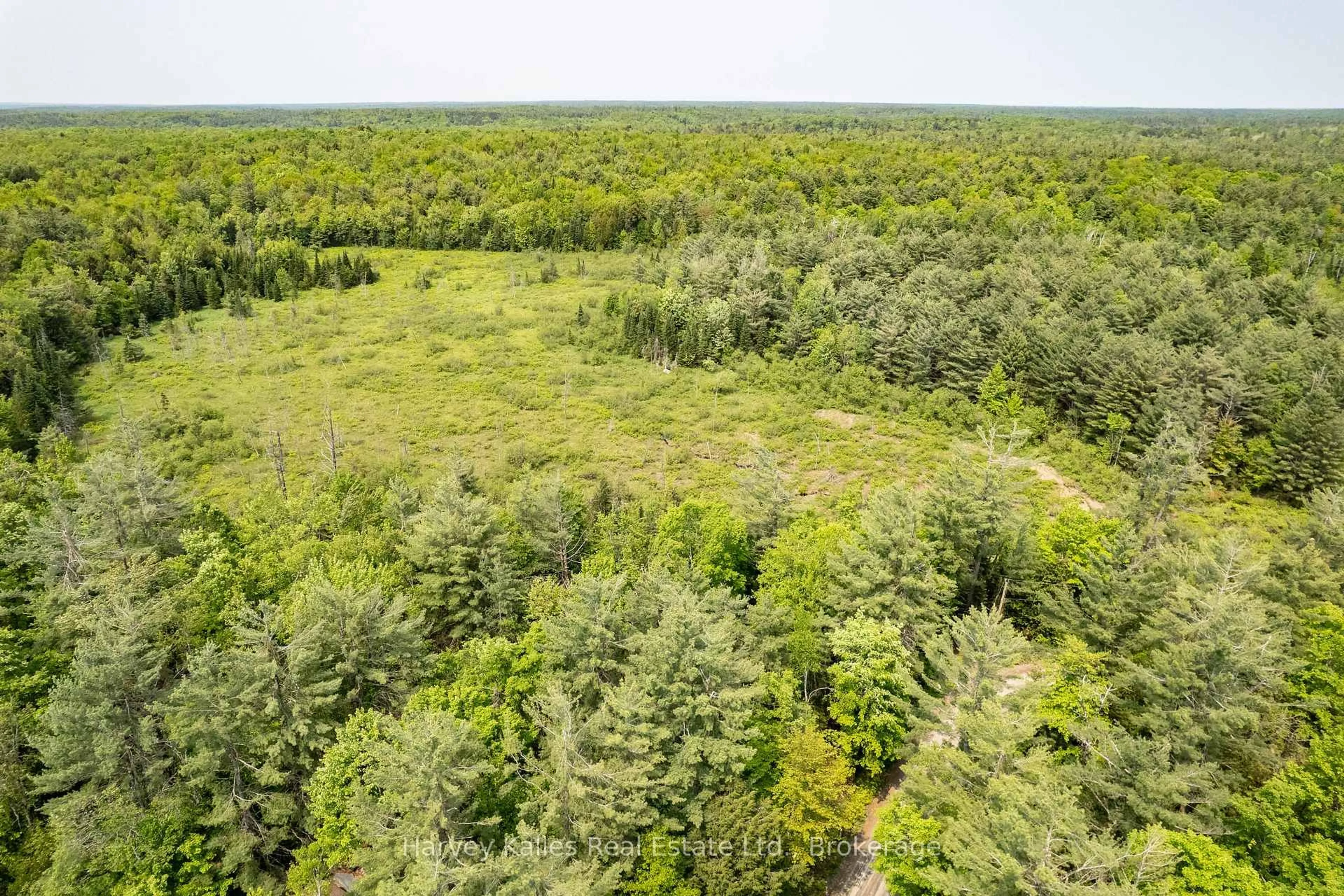 A pic from outside/outdoor area/front of a property/back of a property/a pic from drone, forest/trees view for 1099 Peterson Rd, Bracebridge Ontario P1L 1X1