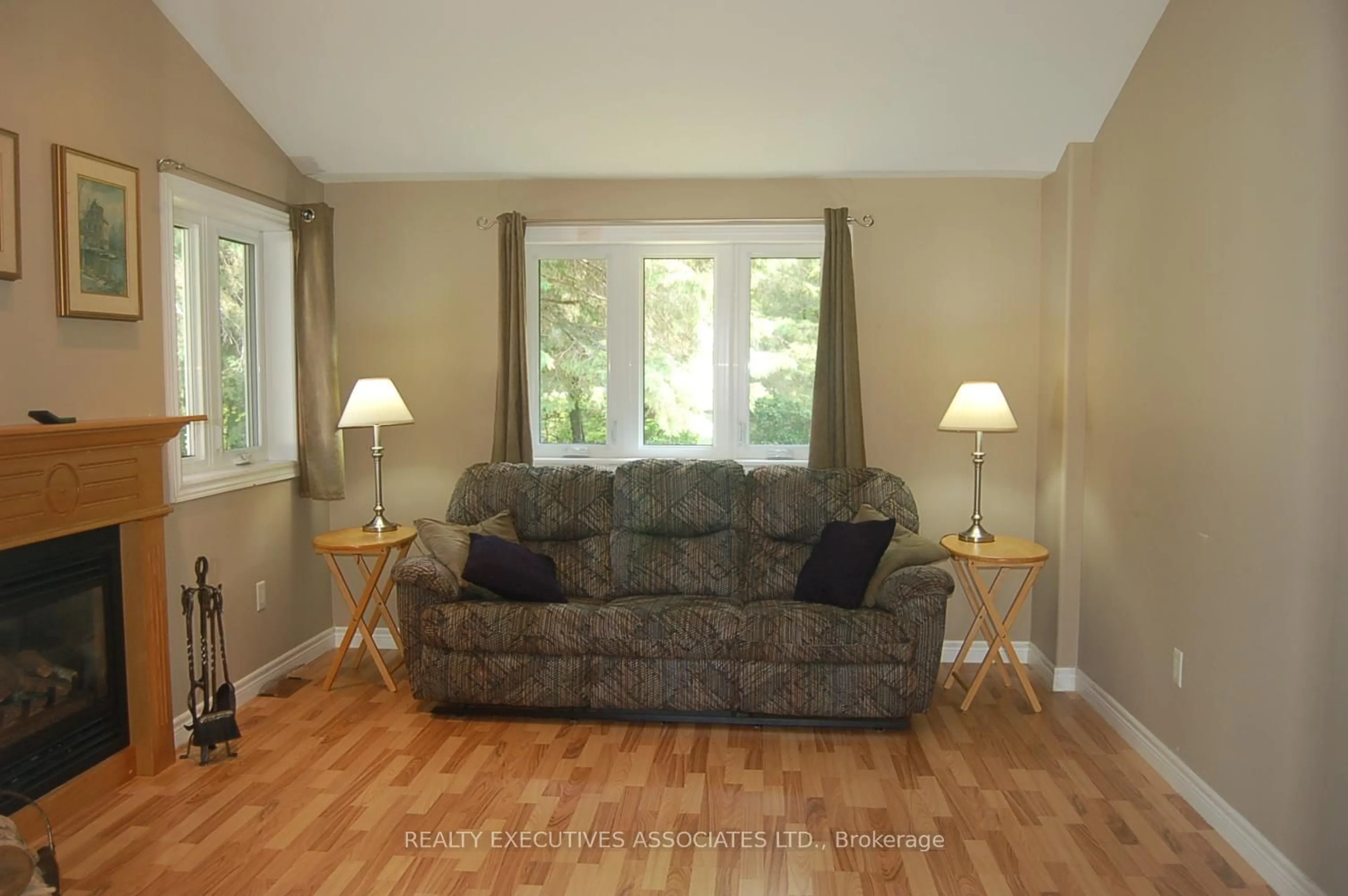 Living room with furniture, wood/laminate floor for 211 Alpine Lake Rd, Trent Lakes Ontario K0M 1A0