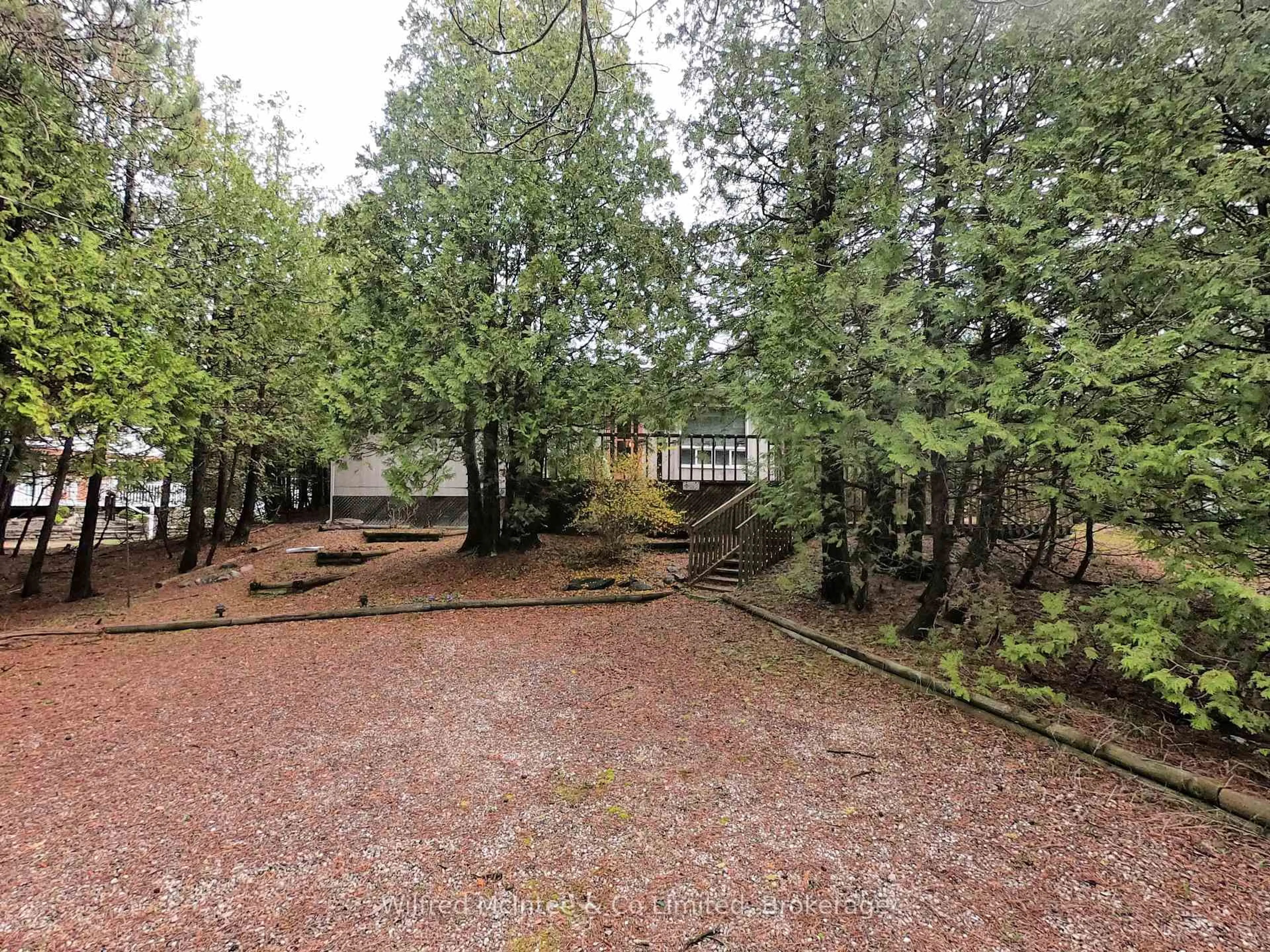 A pic from outside/outdoor area/front of a property/back of a property/a pic from drone, forest/trees view for 278 Ogimah Rd, Native Leased Lands Ontario N0H 2G0
