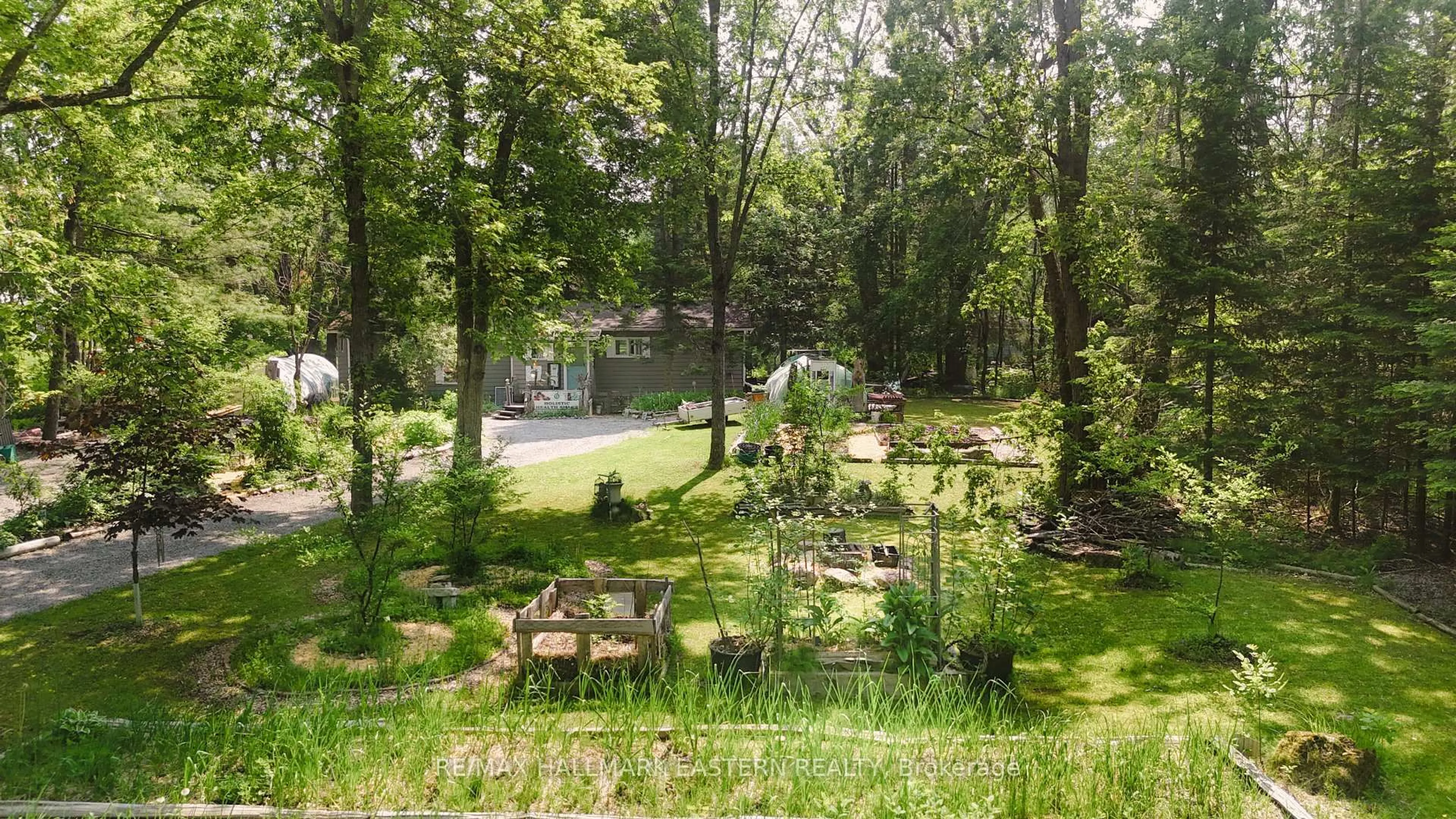 A pic from outside/outdoor area/front of a property/back of a property/a pic from drone, forest/trees view for 55 Kennedy Dr, Trent Lakes Ontario K0M 1A0
