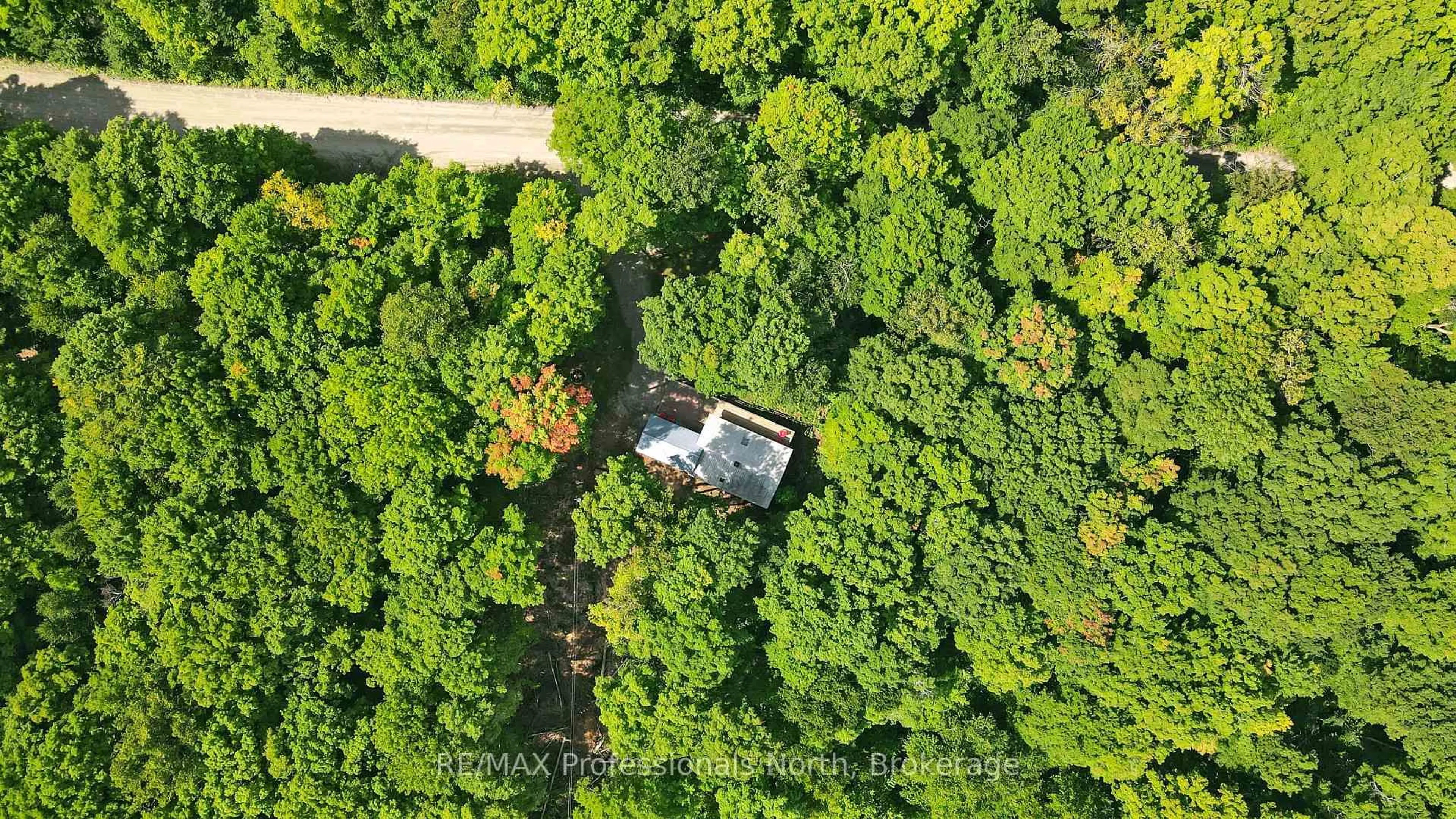 A pic from outside/outdoor area/front of a property/back of a property/a pic from drone, forest/trees view for 1534 Salerno Lake Rd, Highlands East Ontario K0M 1X0