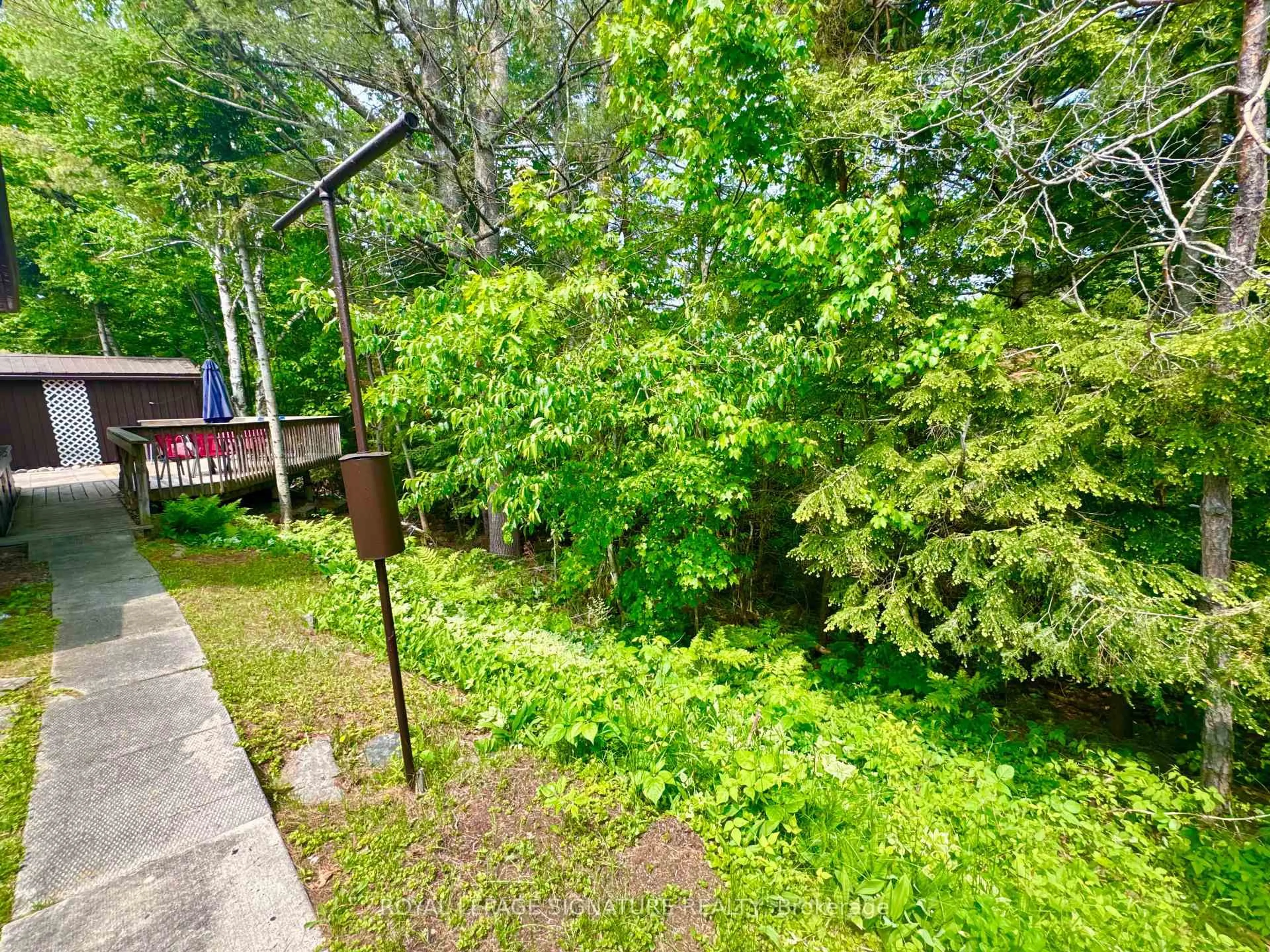 A pic from outside/outdoor area/front of a property/back of a property/a pic from drone, forest/trees view for 1019 Seventh Lane, Minden Hills Ontario K0M 2K0