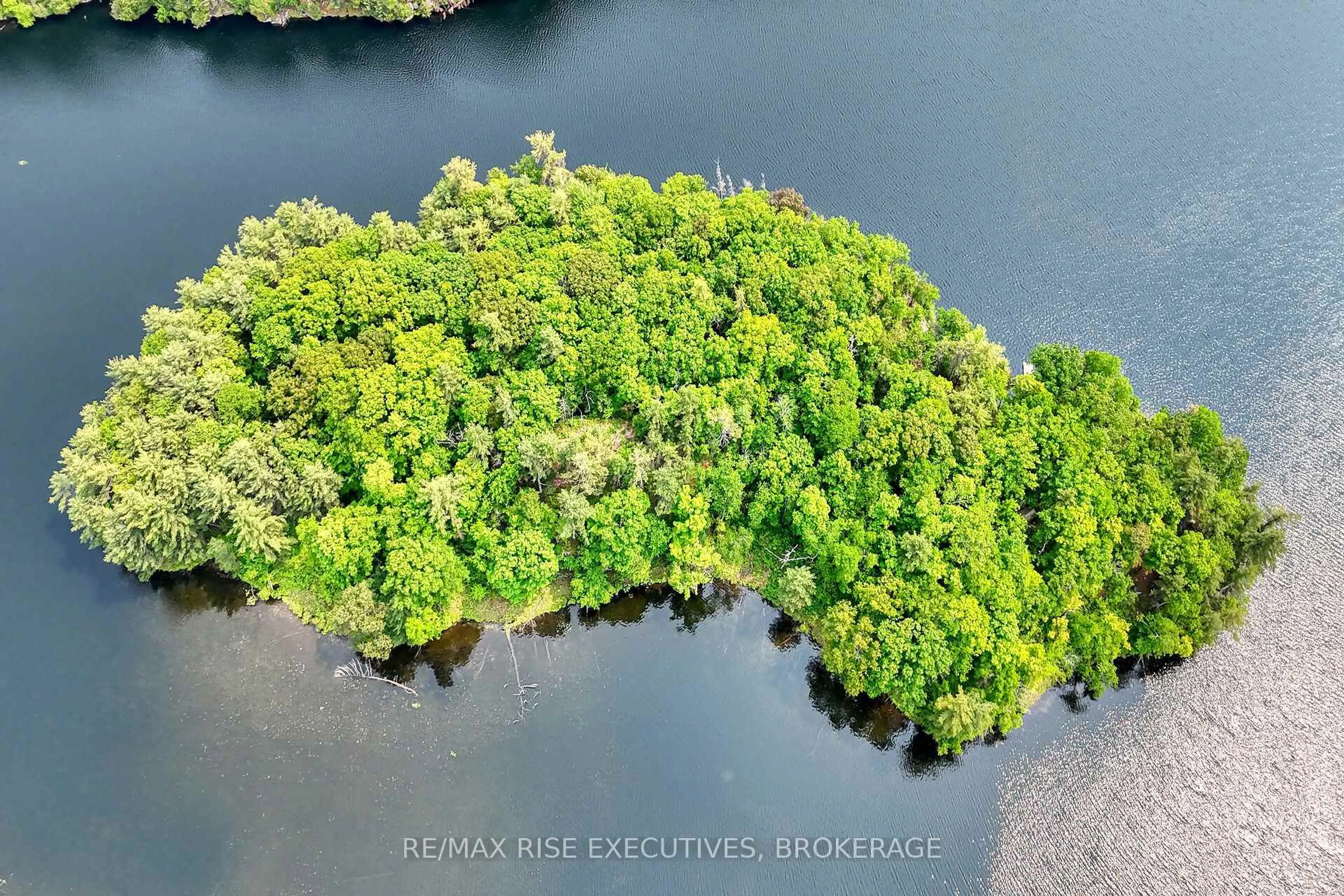 A pic from outside/outdoor area/front of a property/back of a property/a pic from drone, water/lake/river/ocean view for 252 Dean Island Rd, Rideau Lakes Ontario K0G 1E0
