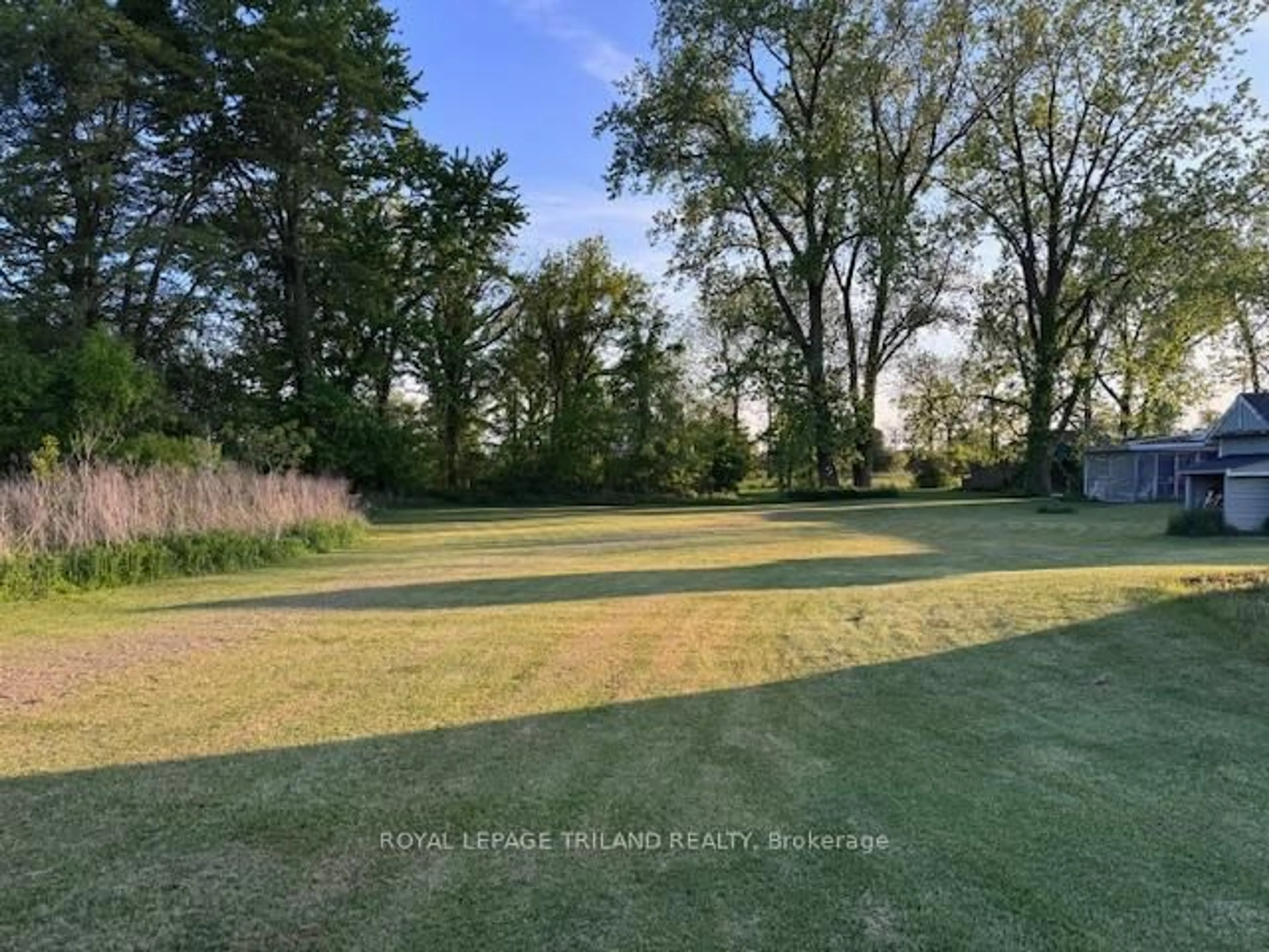A pic from outside/outdoor area/front of a property/back of a property/a pic from drone, forest/trees view for 24353 PIONEER Line, West Elgin Ontario N0L 2P0