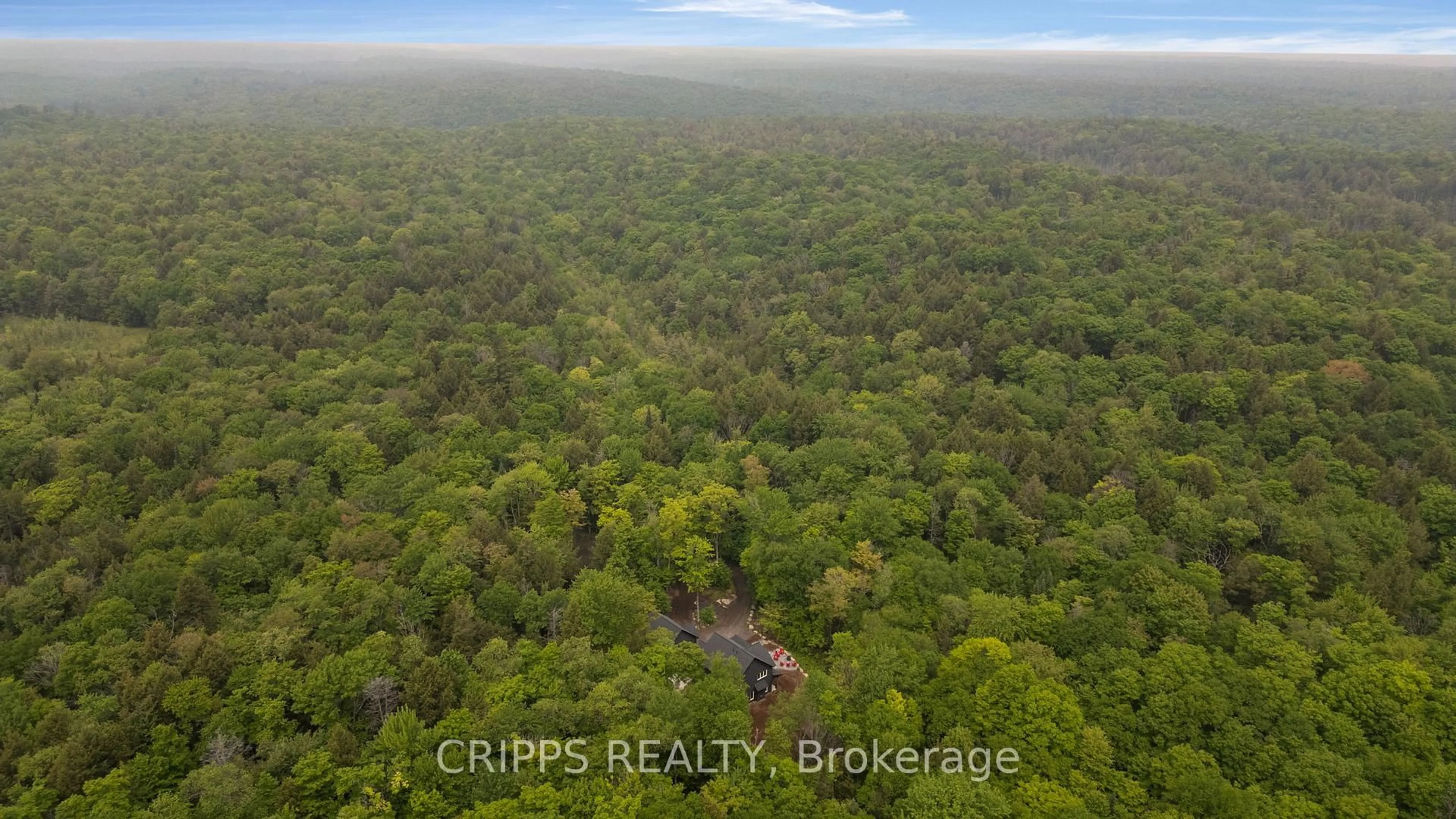 A pic from outside/outdoor area/front of a property/back of a property/a pic from drone, forest/trees view for 4620 Aspdin Rd, Muskoka Lakes Ontario P0C 1J0