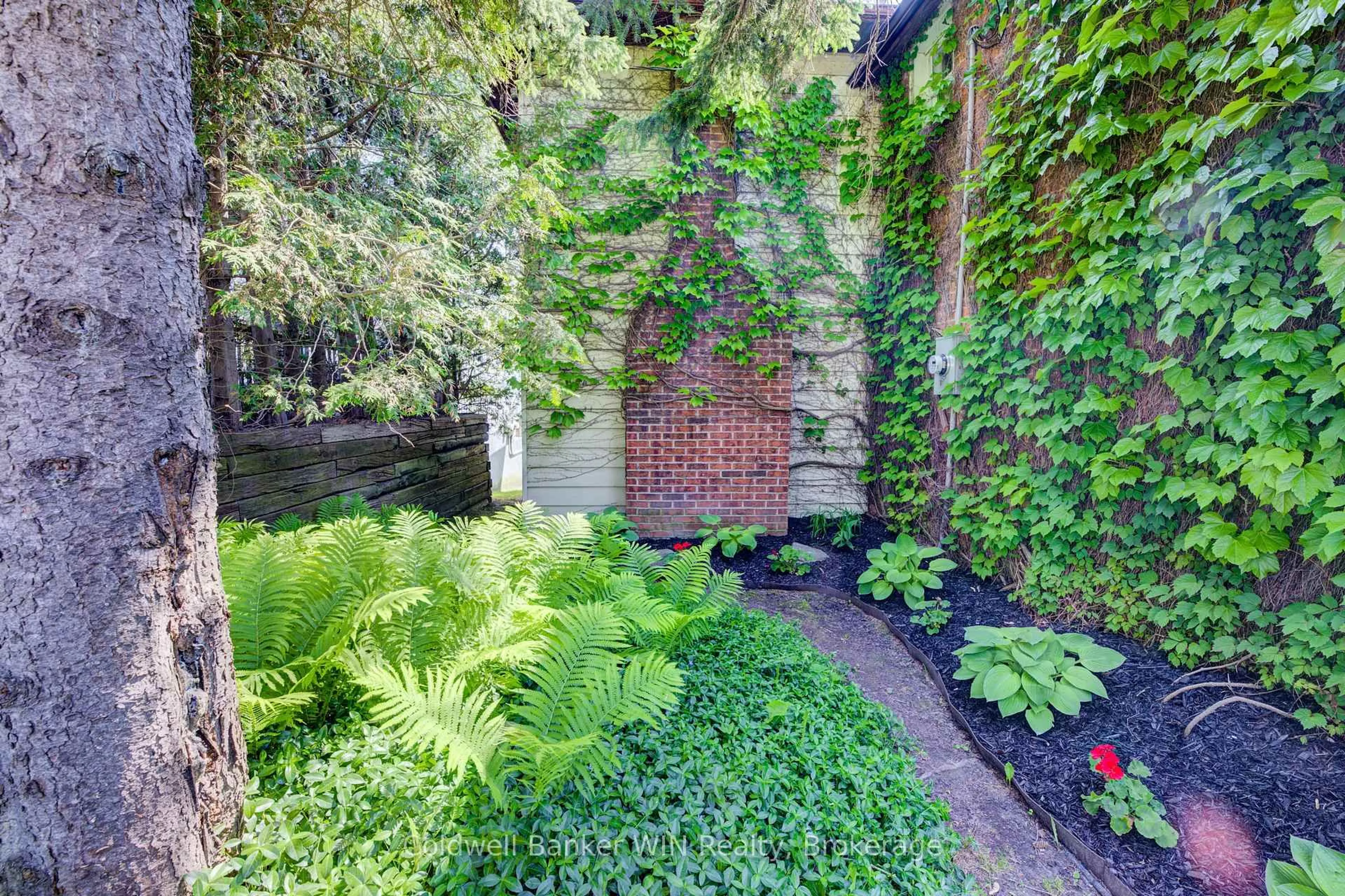 Patio, street for 175 Smith St, Wellington North Ontario N0G 1A0