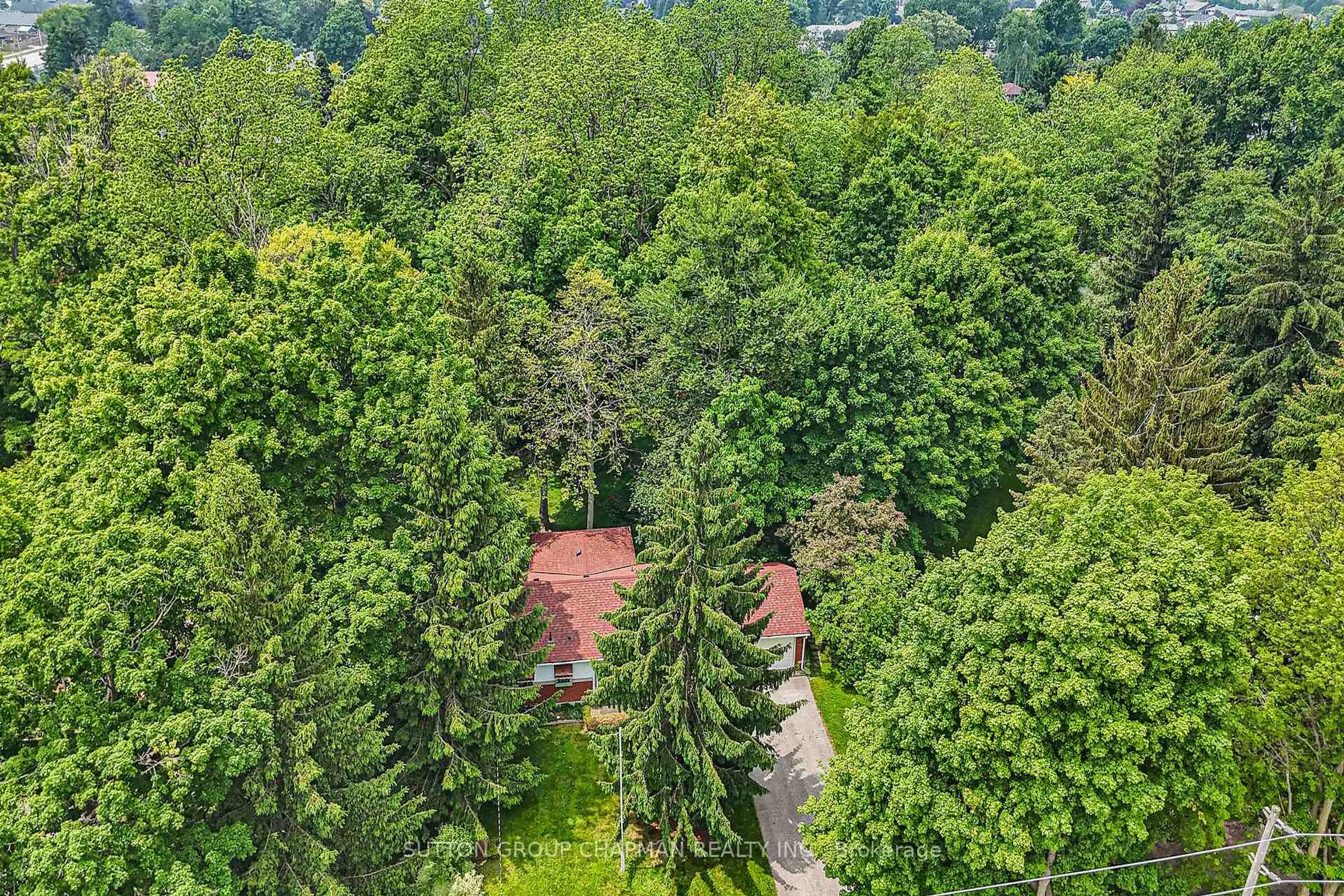 A pic from outside/outdoor area/front of a property/back of a property/a pic from drone, forest/trees view for 227 Centennial Ave, Central Elgin Ontario N5R 5B4