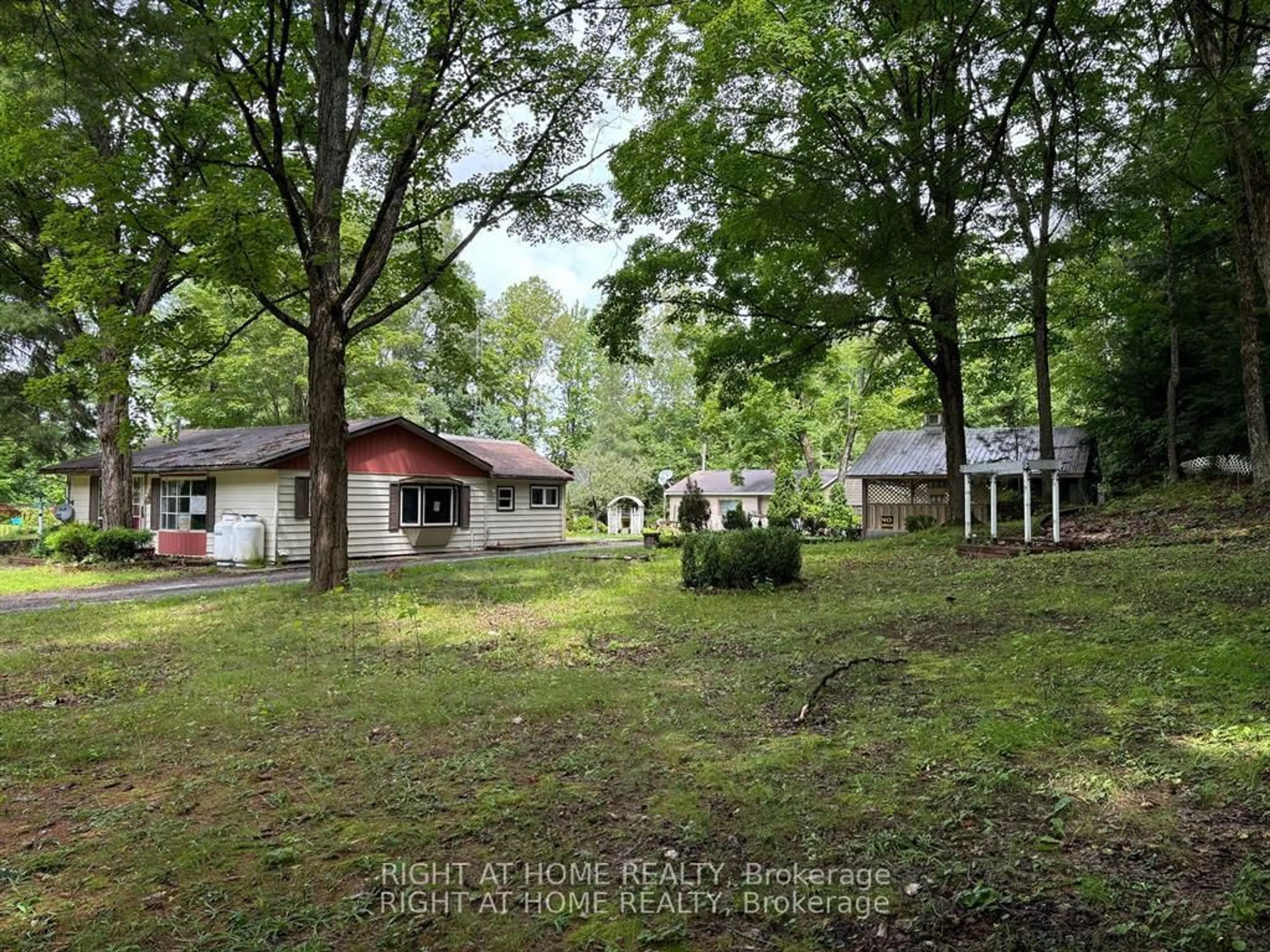 A pic from outside/outdoor area/front of a property/back of a property/a pic from drone, forest/trees view for 2162 Bay Lake Rd, Bancroft Ontario K0L 1C0
