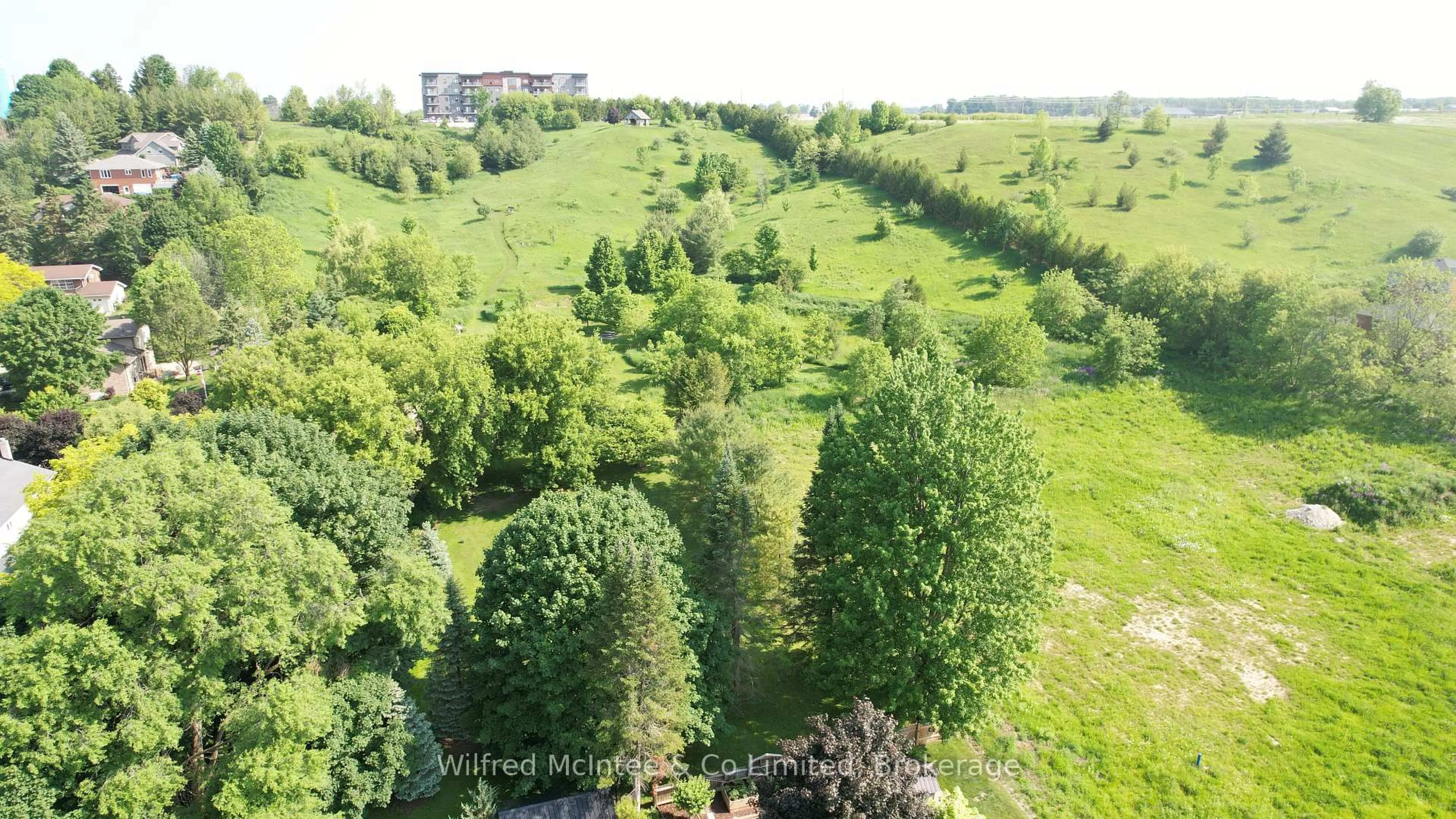 A pic from outside/outdoor area/front of a property/back of a property/a pic from drone, forest/trees view for 908 Old Durham Rd, Brockton Ontario N0G 2V0