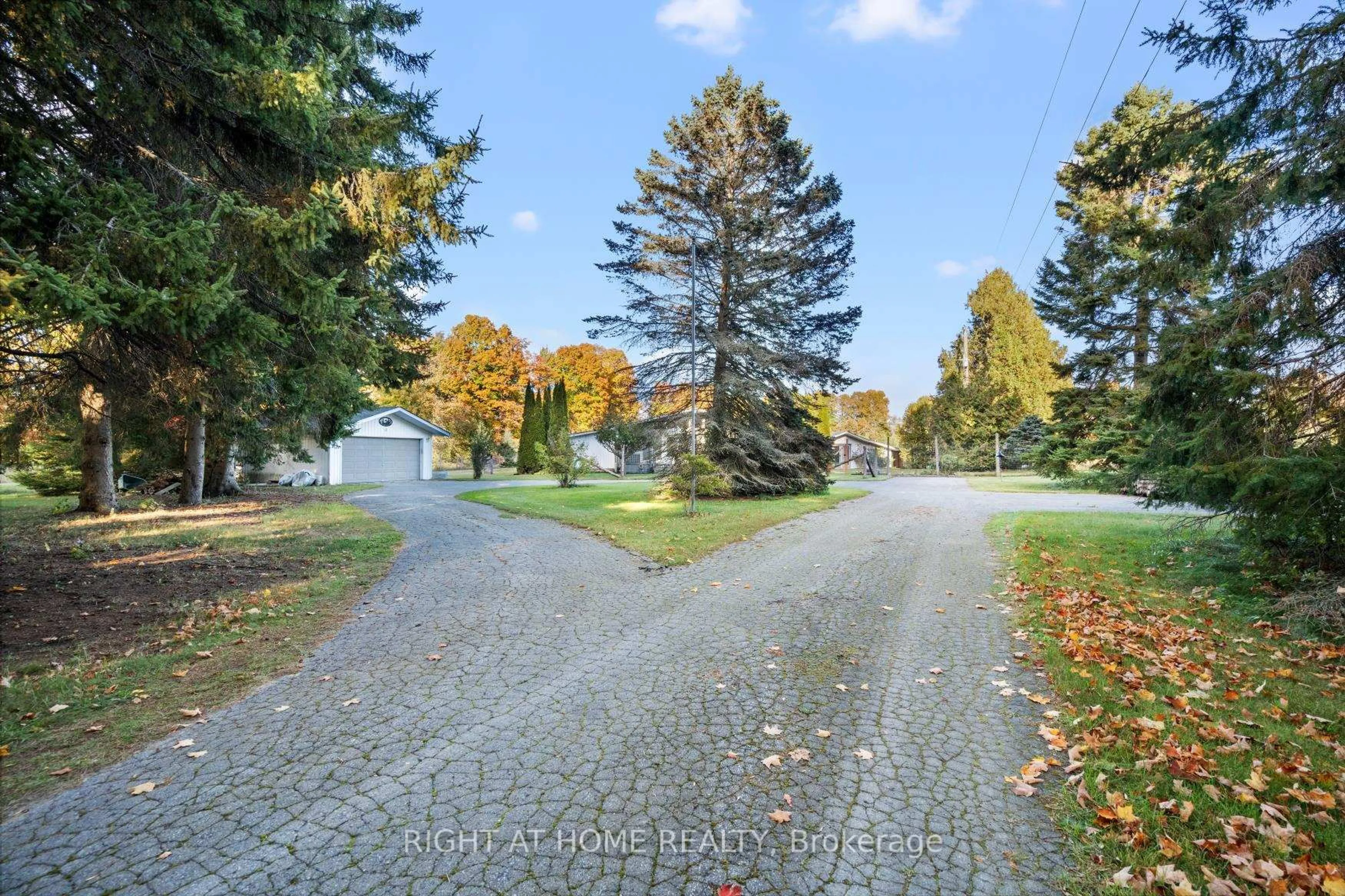 Unknown for 203 Barnes Rd, Brighton Ontario K0K 1H0
