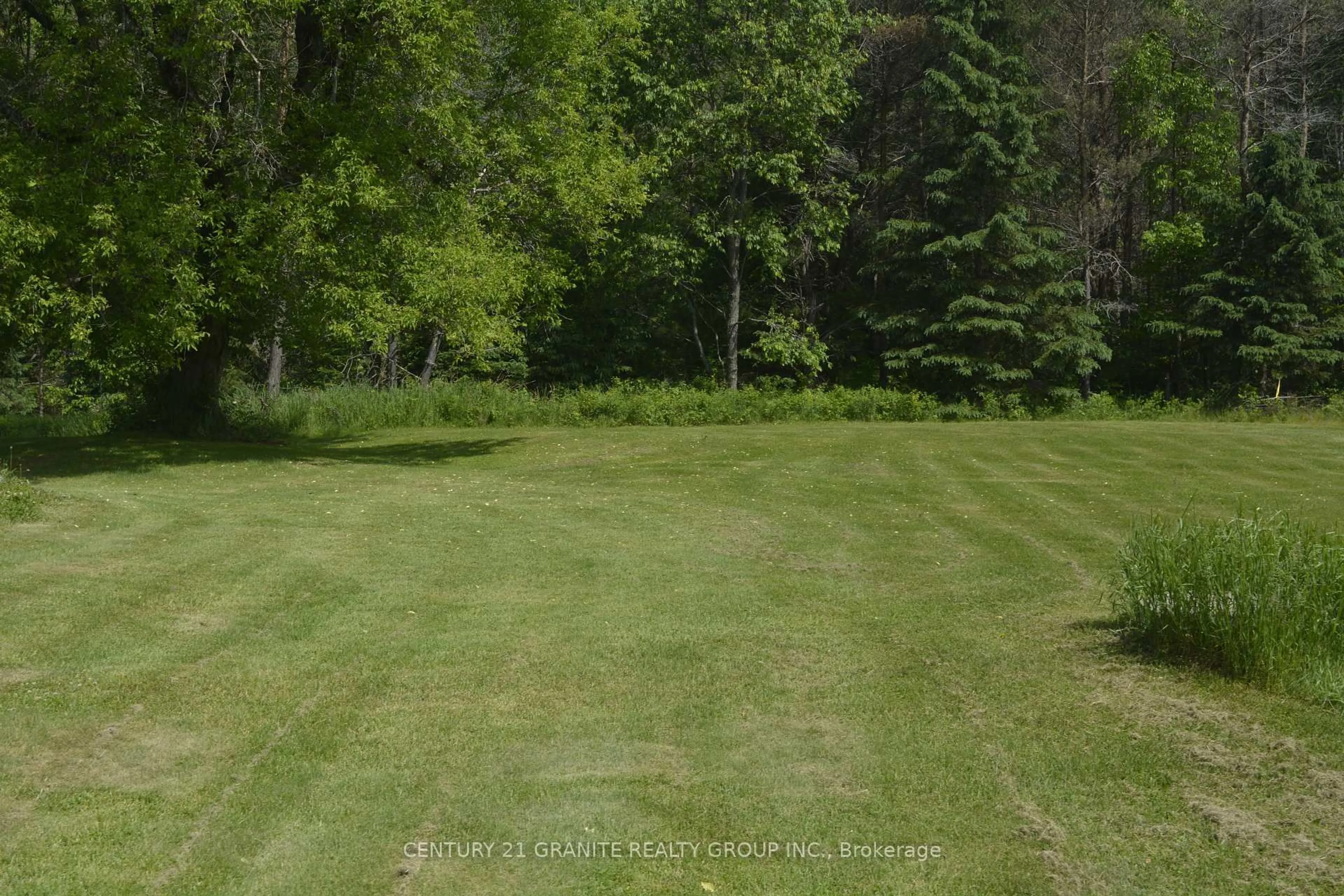A pic from outside/outdoor area/front of a property/back of a property/a pic from drone, forest/trees view for 671 Hastings St, Bancroft Ontario K0L 1C0