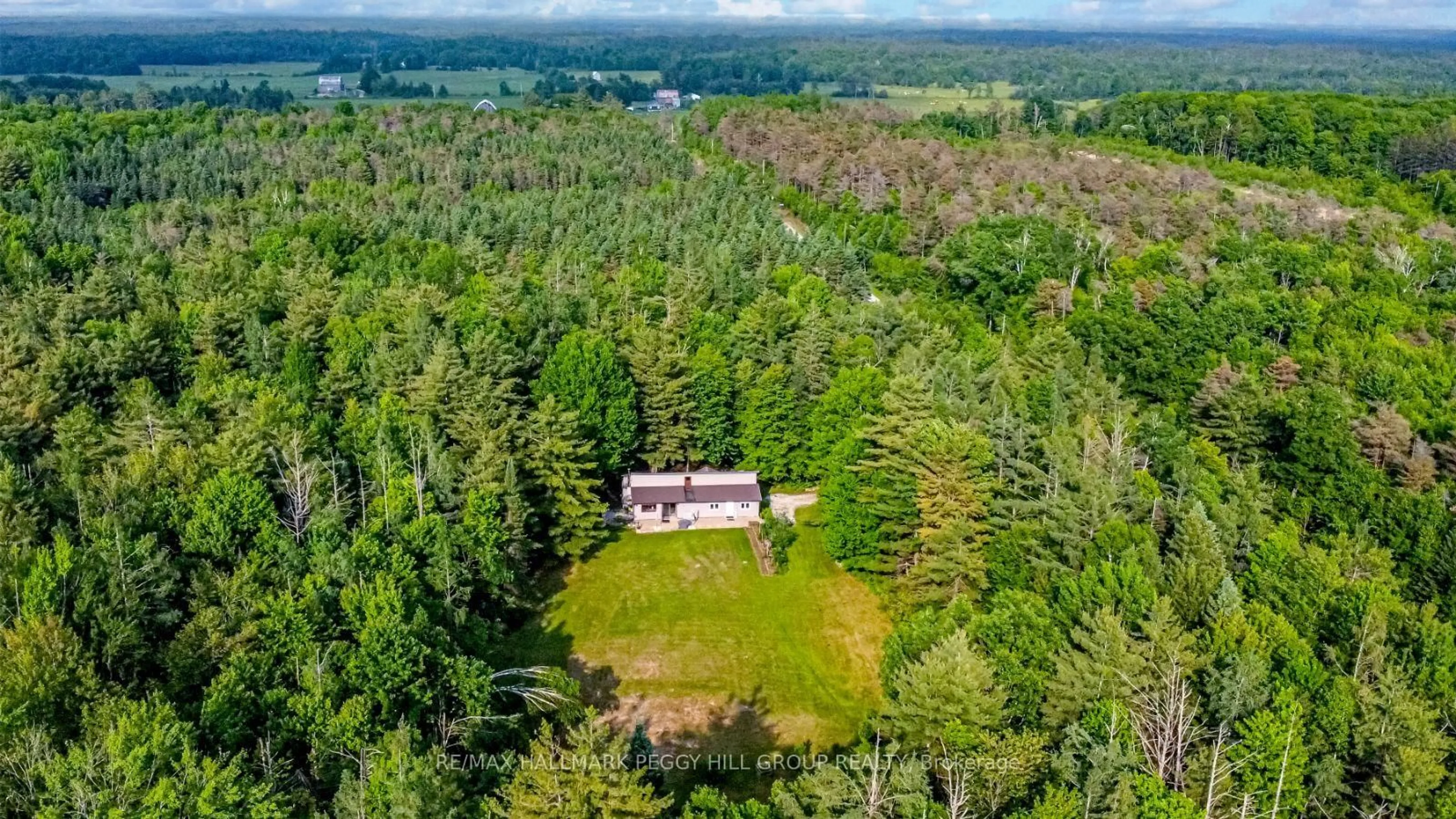 A pic from outside/outdoor area/front of a property/back of a property/a pic from drone, forest/trees view for 7390 Sadowa Rd, Kawartha Lakes Ontario L0K 1W0