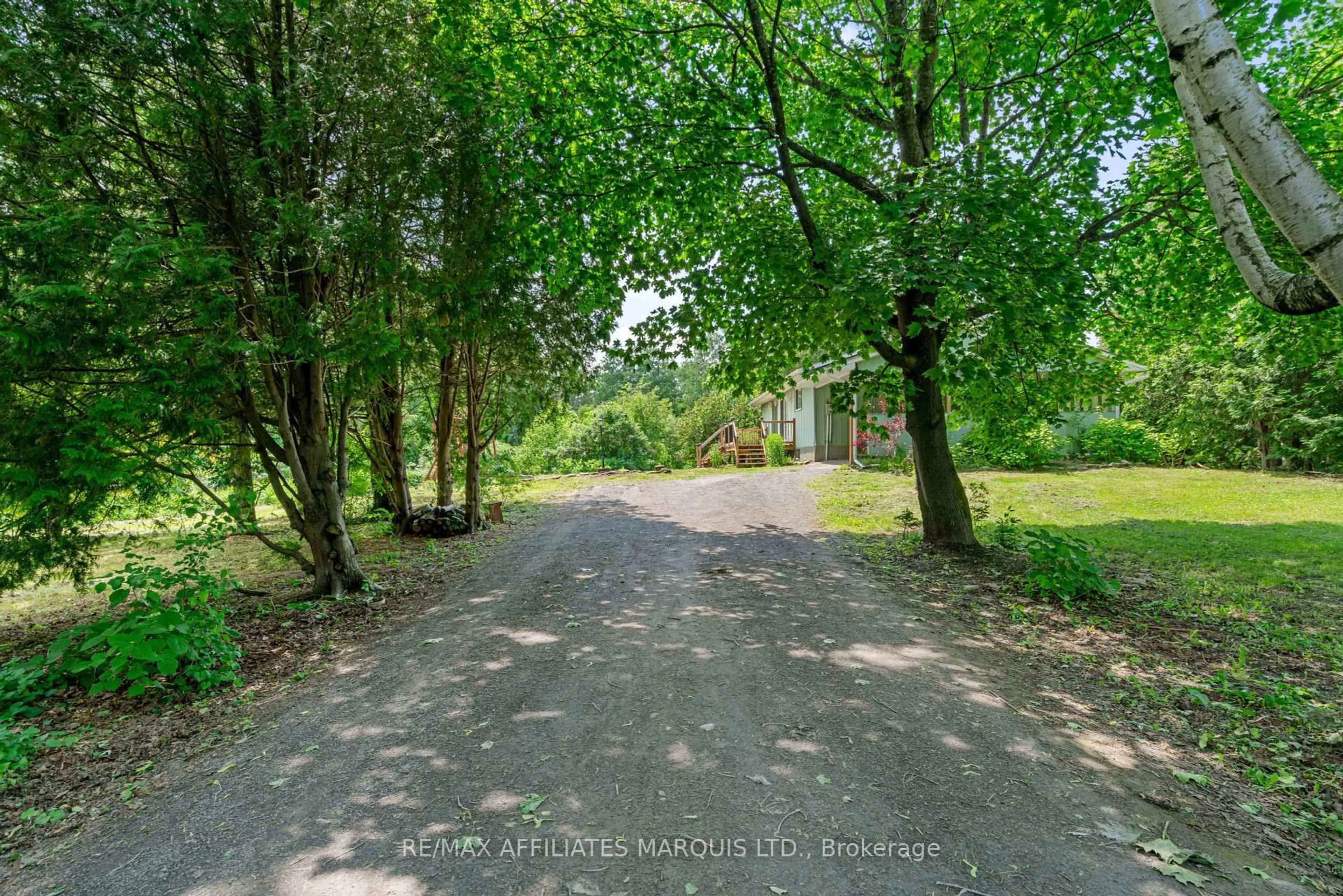 A pic from outside/outdoor area/front of a property/back of a property/a pic from drone, forest/trees view for 4624 Chapel Rd, South Glengarry Ontario K0C 1S0