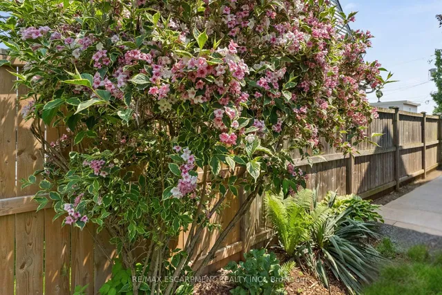 Additional property image - 49 EATON Pl