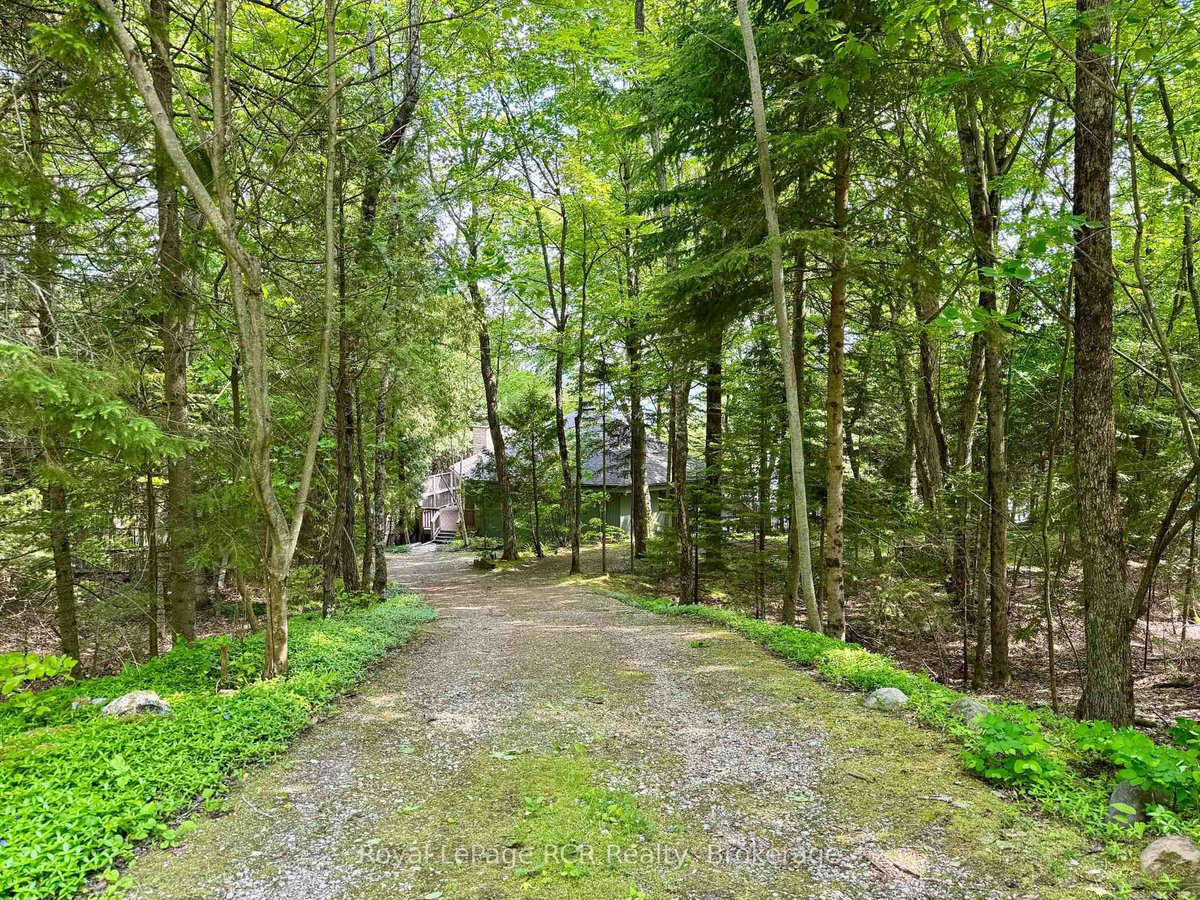 A pic from outside/outdoor area/front of a property/back of a property/a pic from drone, forest/trees view for 15 Georgian Dr, Northern Bruce Peninsula Ontario N0H 1W0