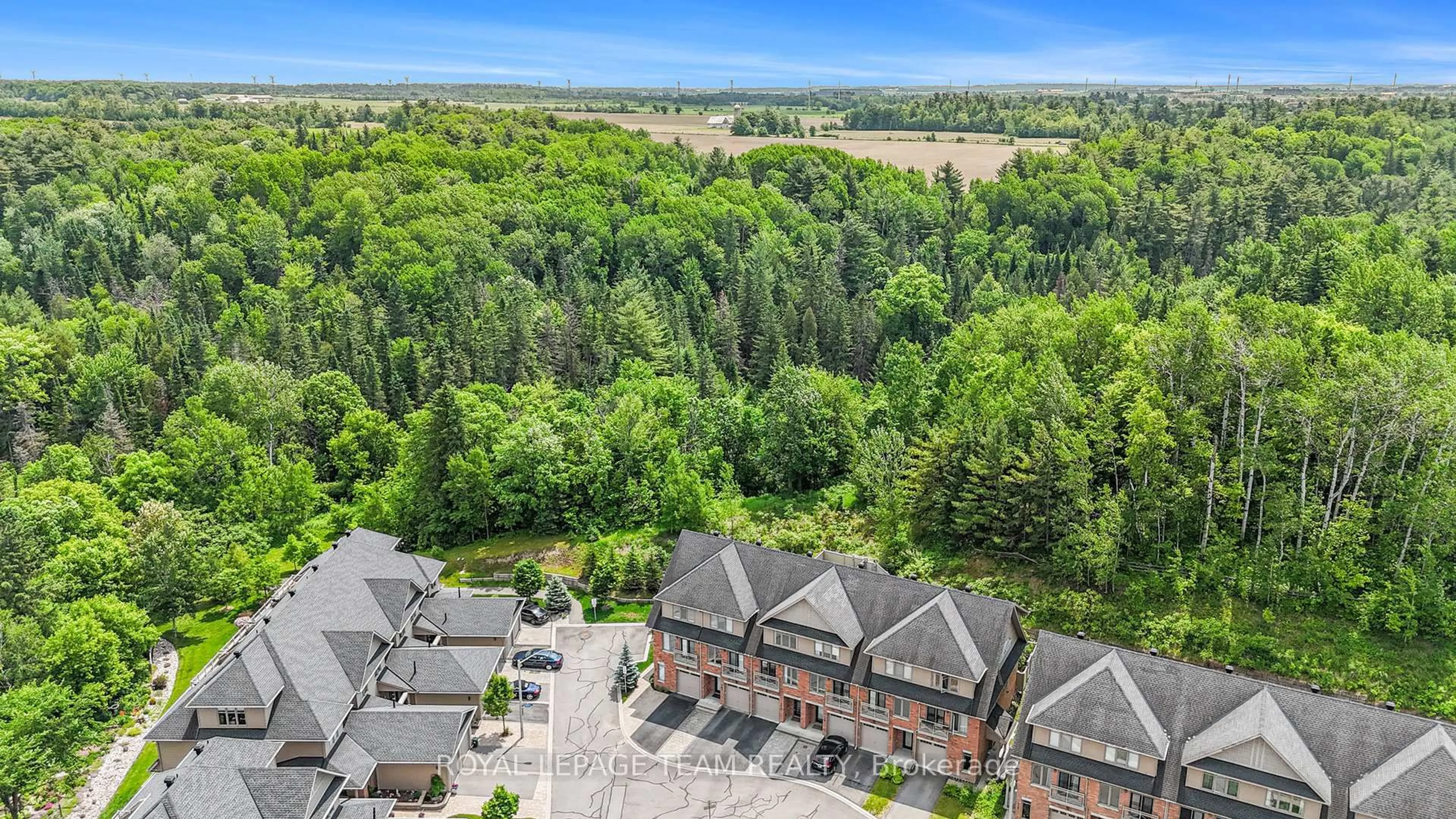 A pic from outside/outdoor area/front of a property/back of a property/a pic from drone, forest/trees view for 100 Lionel Private, Ottawa Ontario K4A 0X1